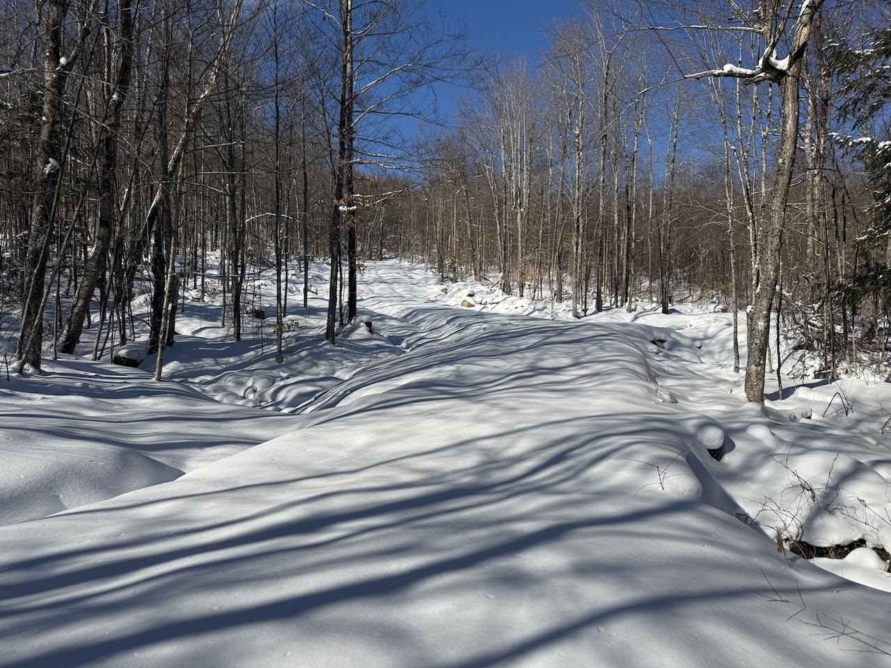 S-1d Great Roaring Brook Road Property Photo