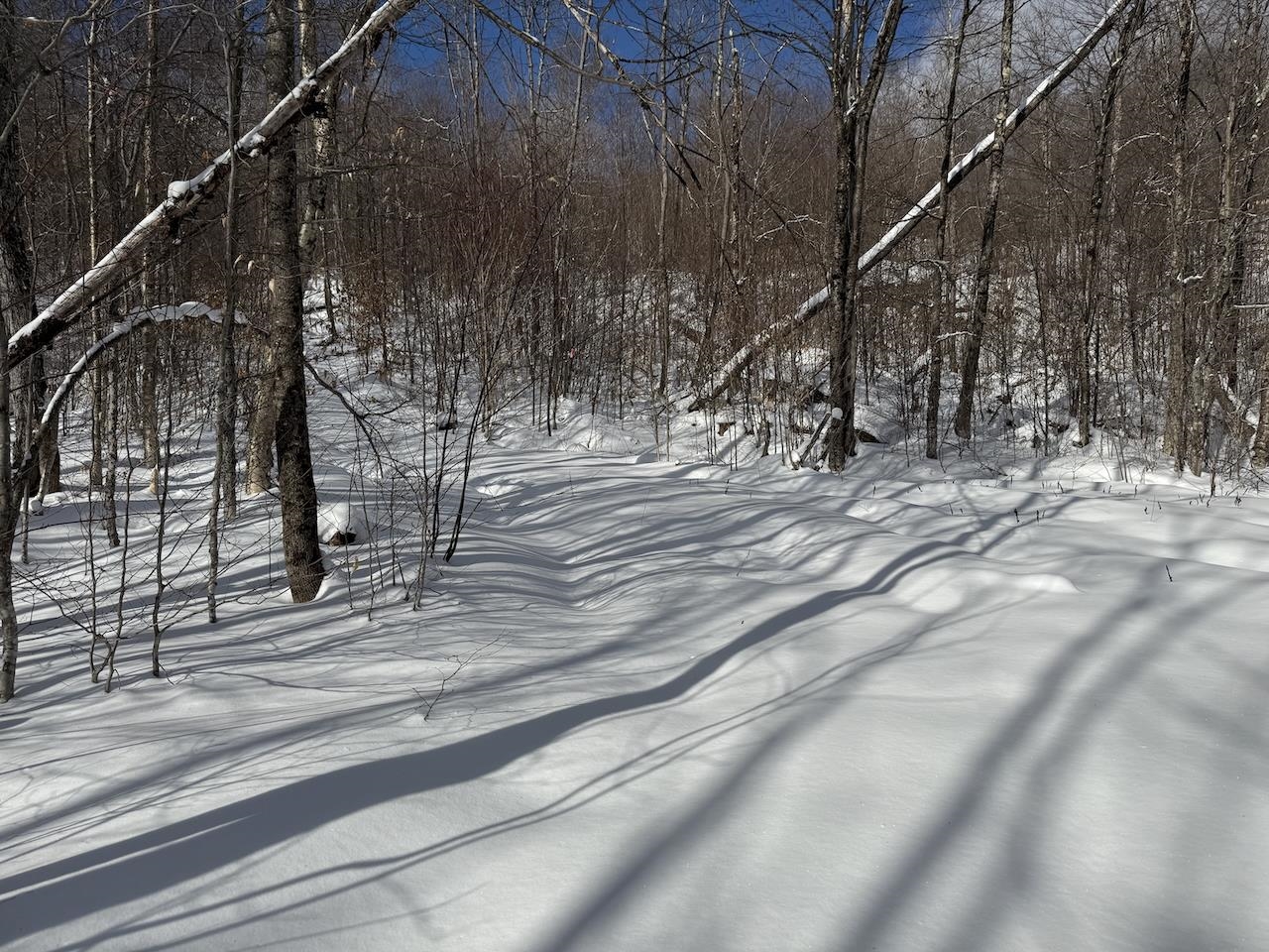S-1e Great Roaring Brook Road Property Photo