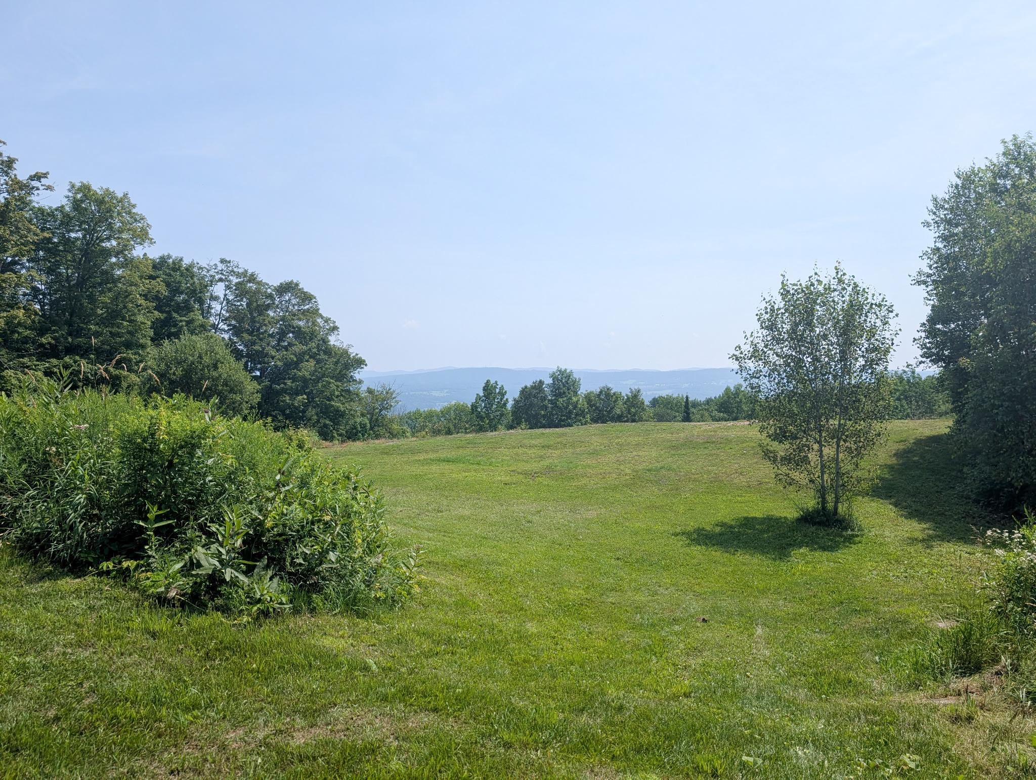 419 Cold Springs Road Property Photo 1