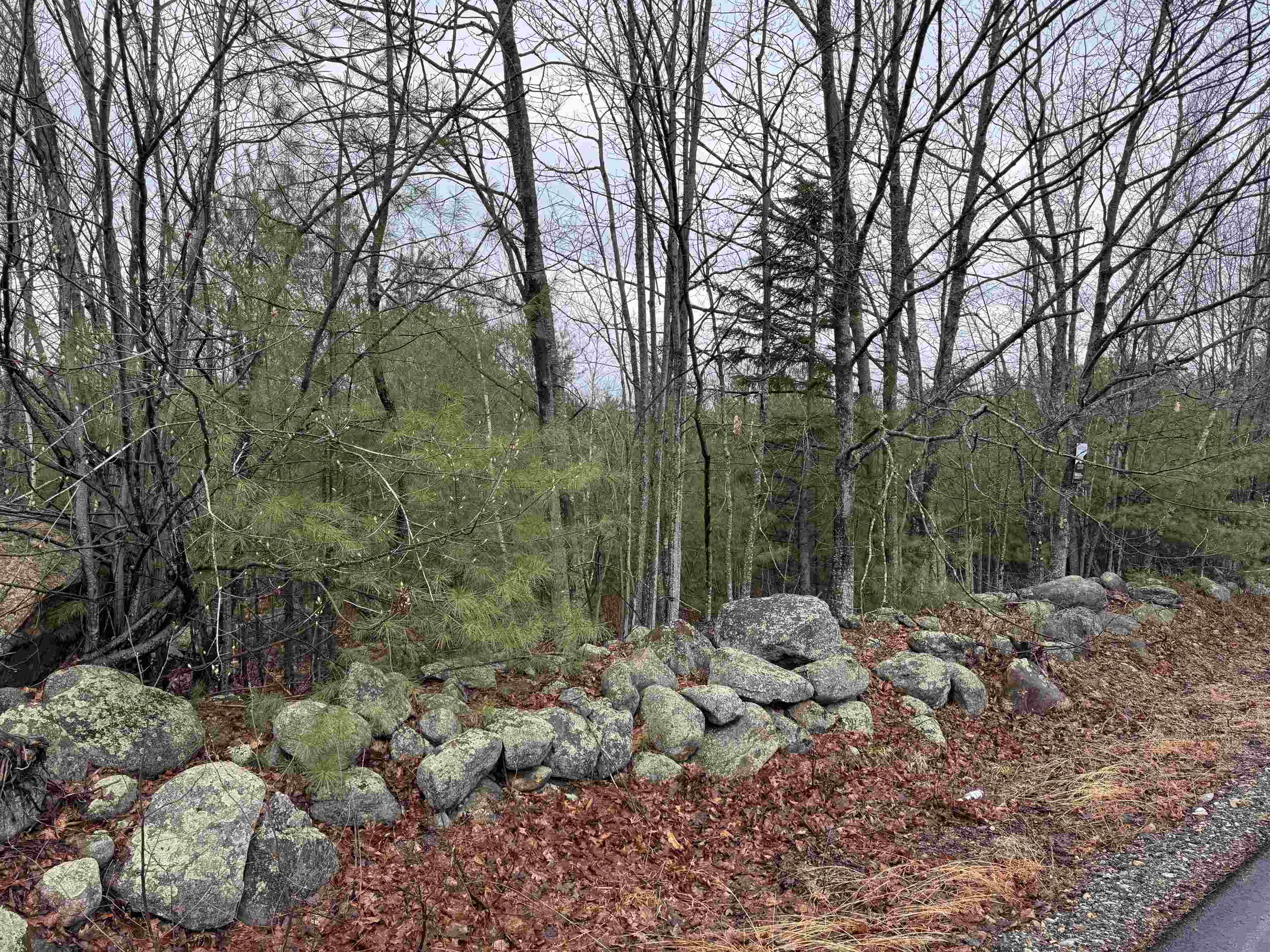 Tbd Mason Road Property Photo 1