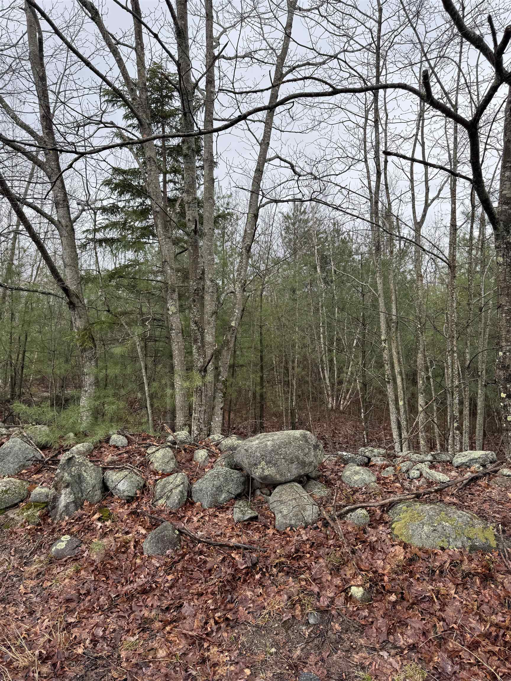 Tbd Mason Road Property Photo 2
