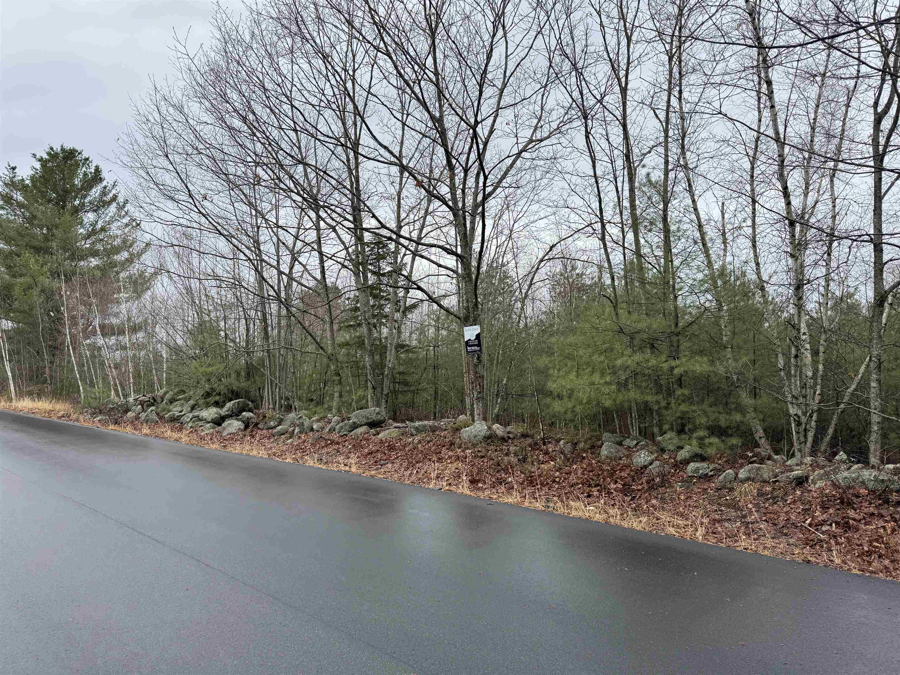 Tbd Mason Road Property Photo 3