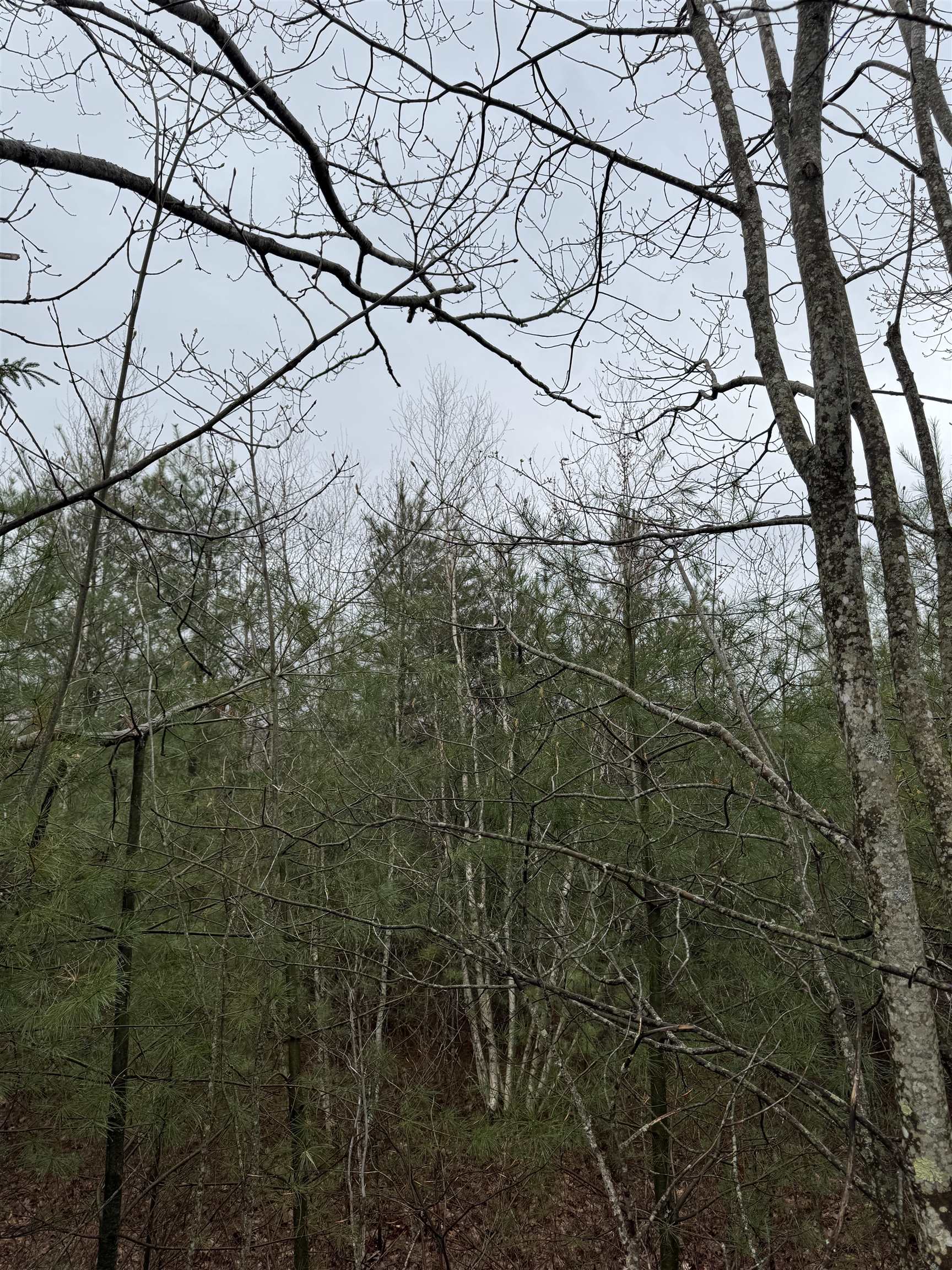 Tbd Mason Road Property Photo 4