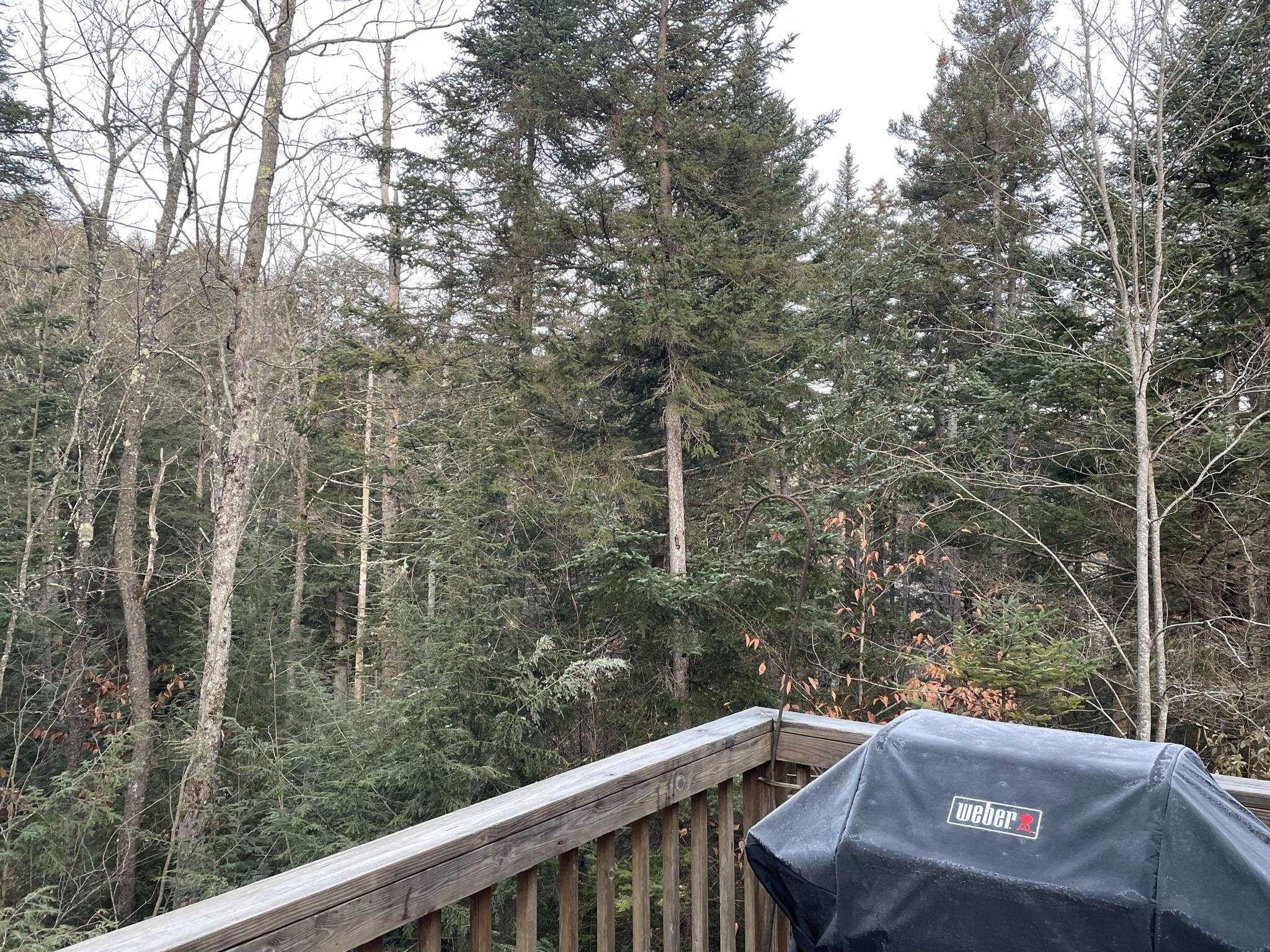 191 Forest Mountain Road Property Photo 17