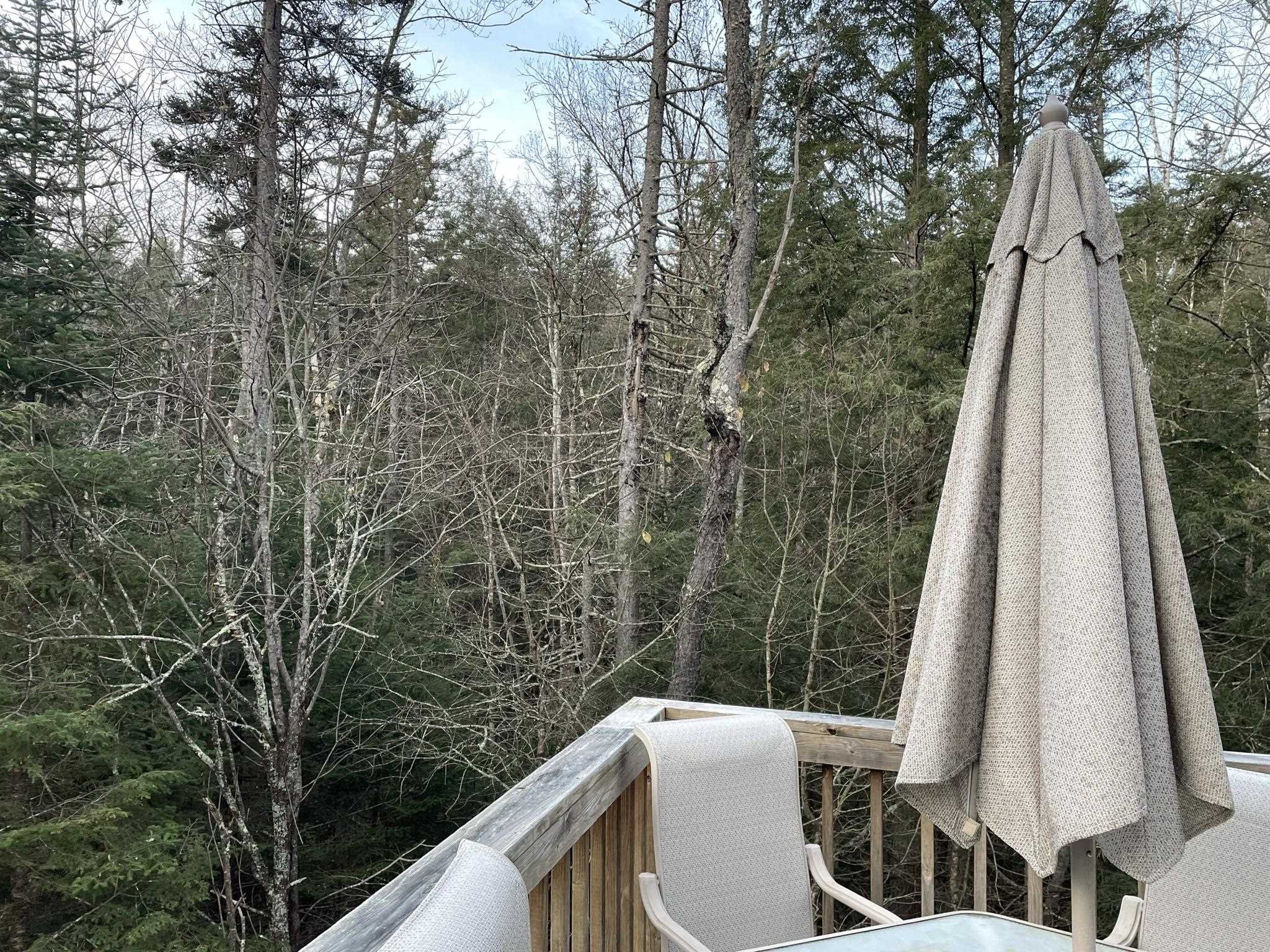 191 Forest Mountain Road Property Photo 18