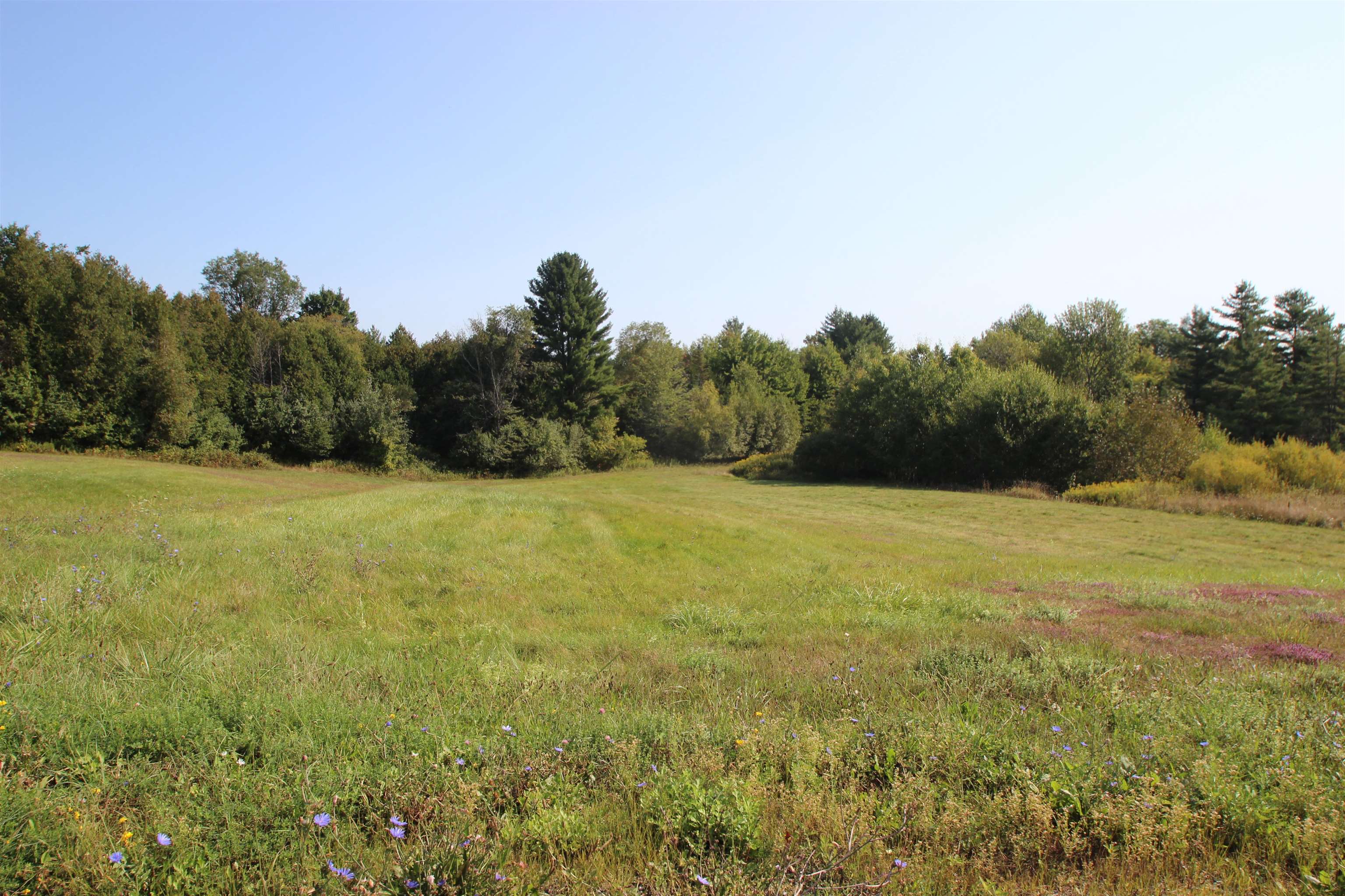 58 Warner Road Property Photo 4