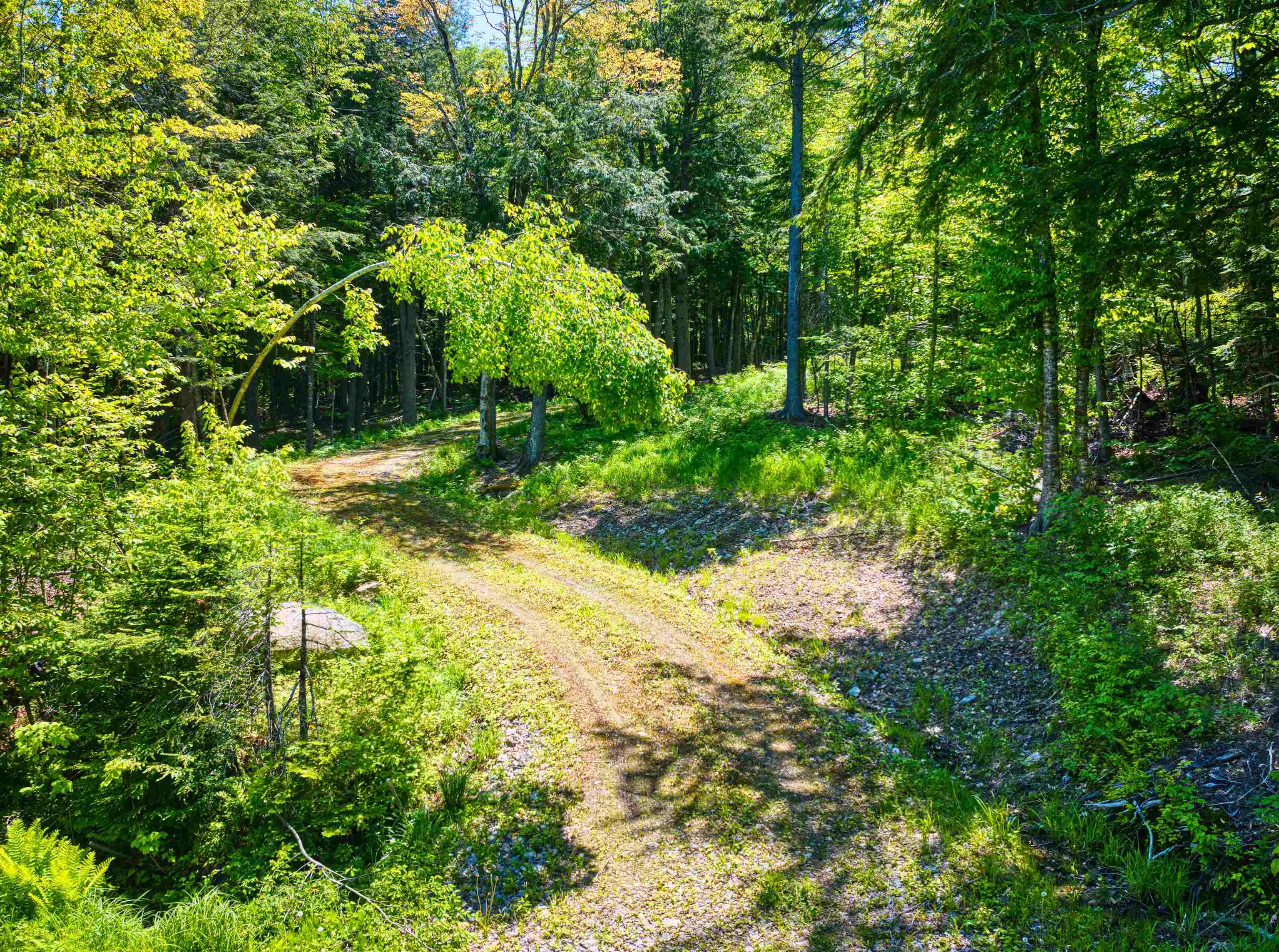 983 Stoney Brook Road Property Photo 2