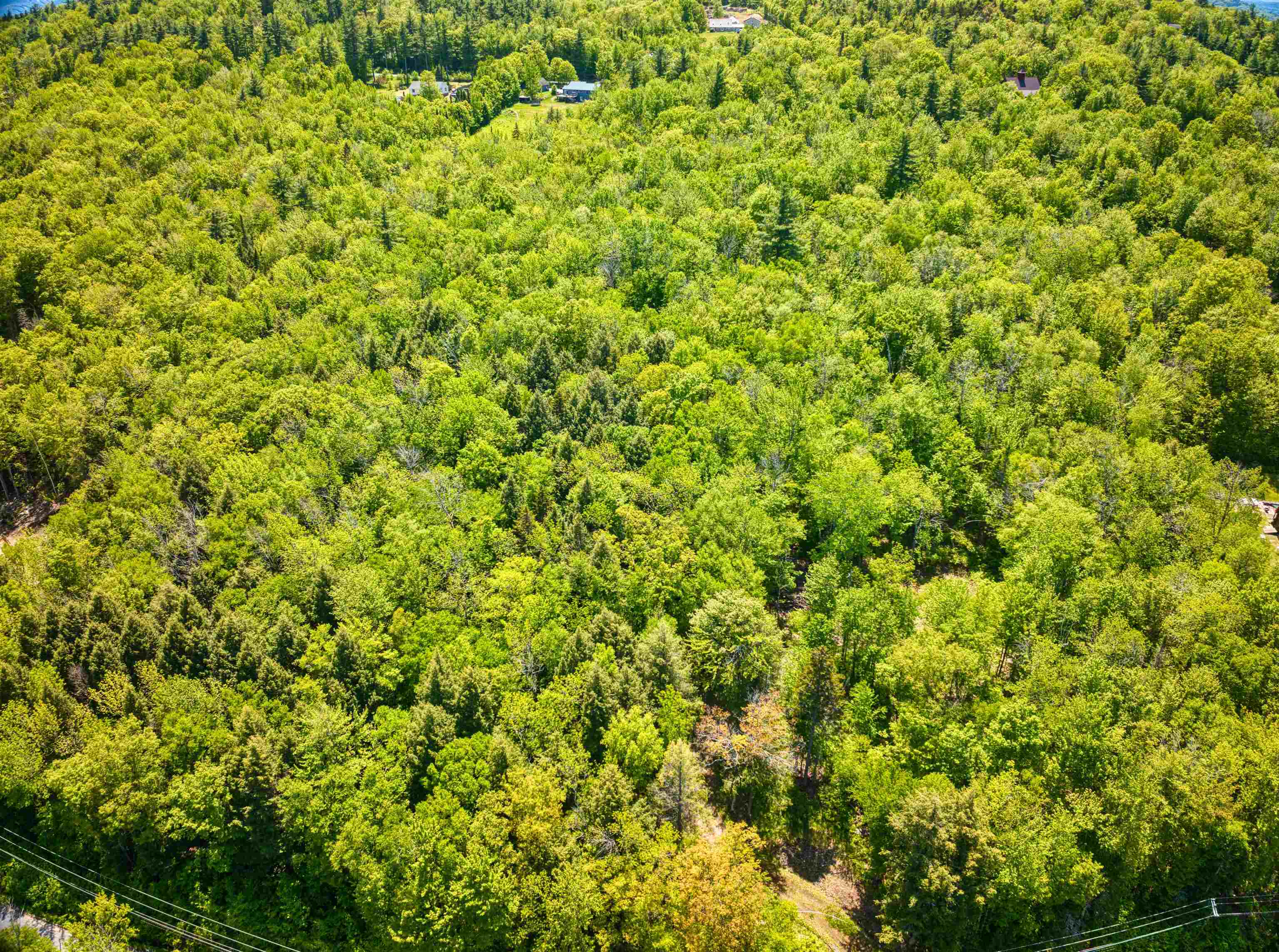 983 Stoney Brook Road Property Photo 3