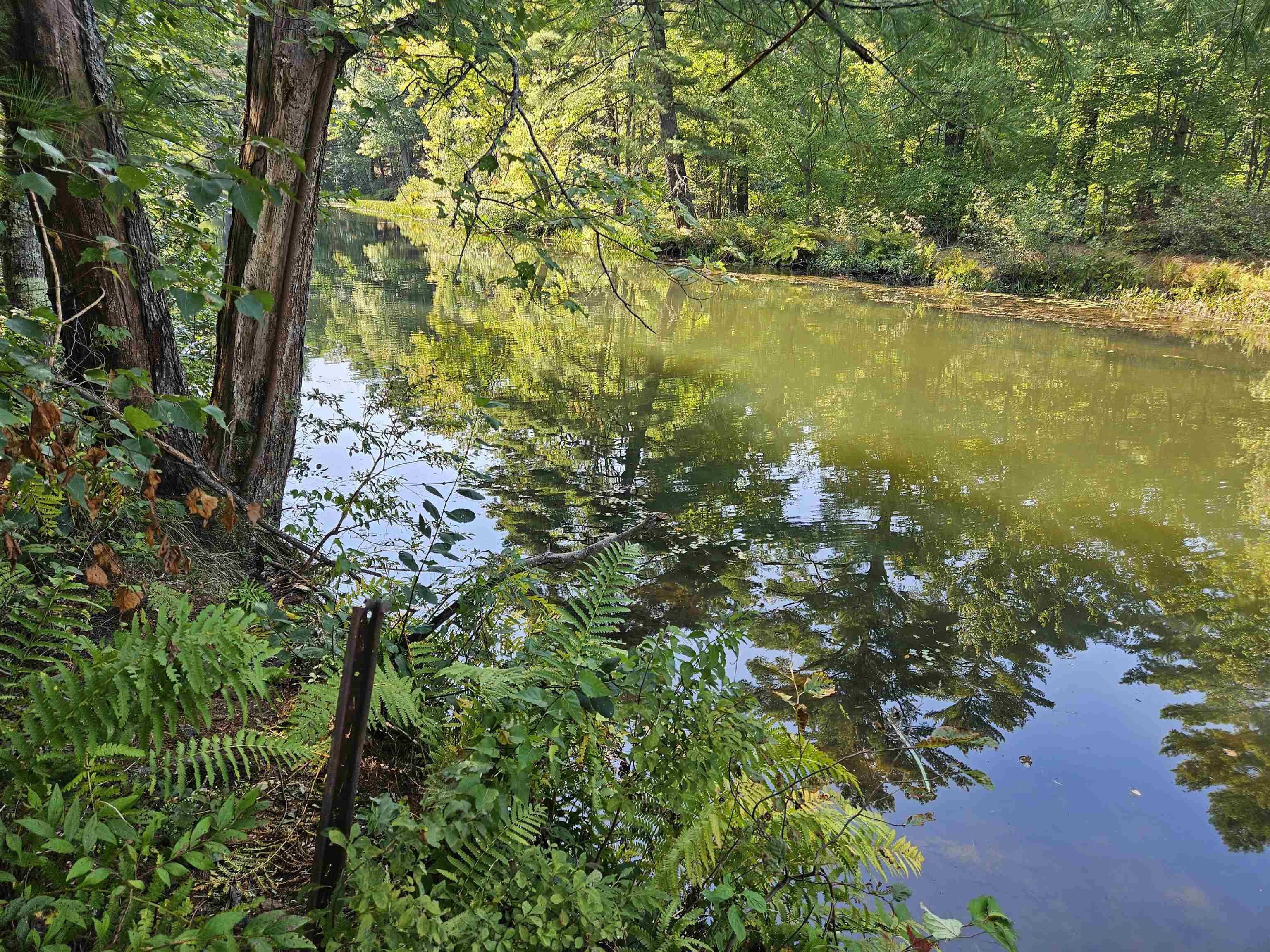 39 Nh Route 129 Property Photo 22