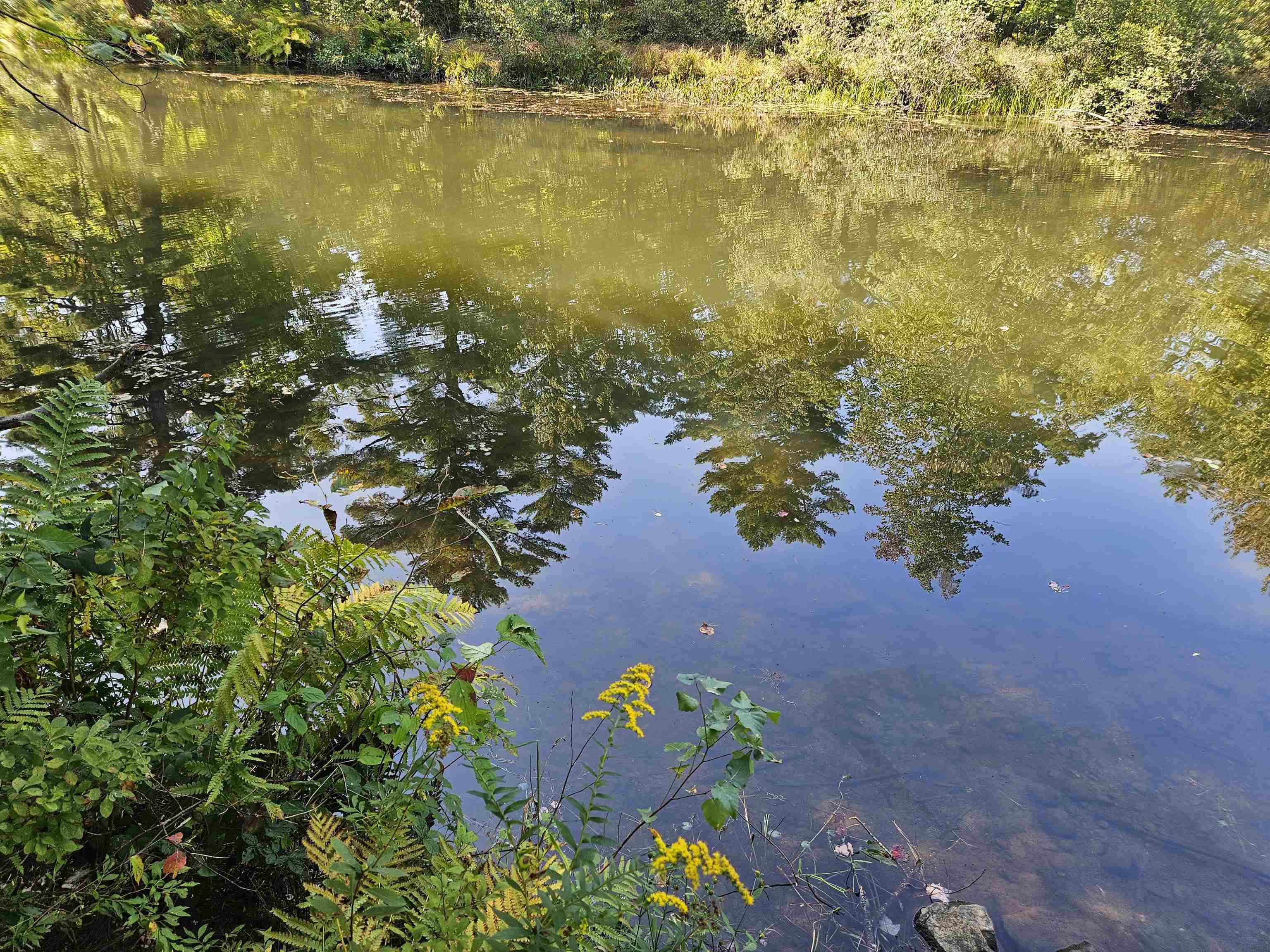 39 Nh Route 129 Property Photo 23