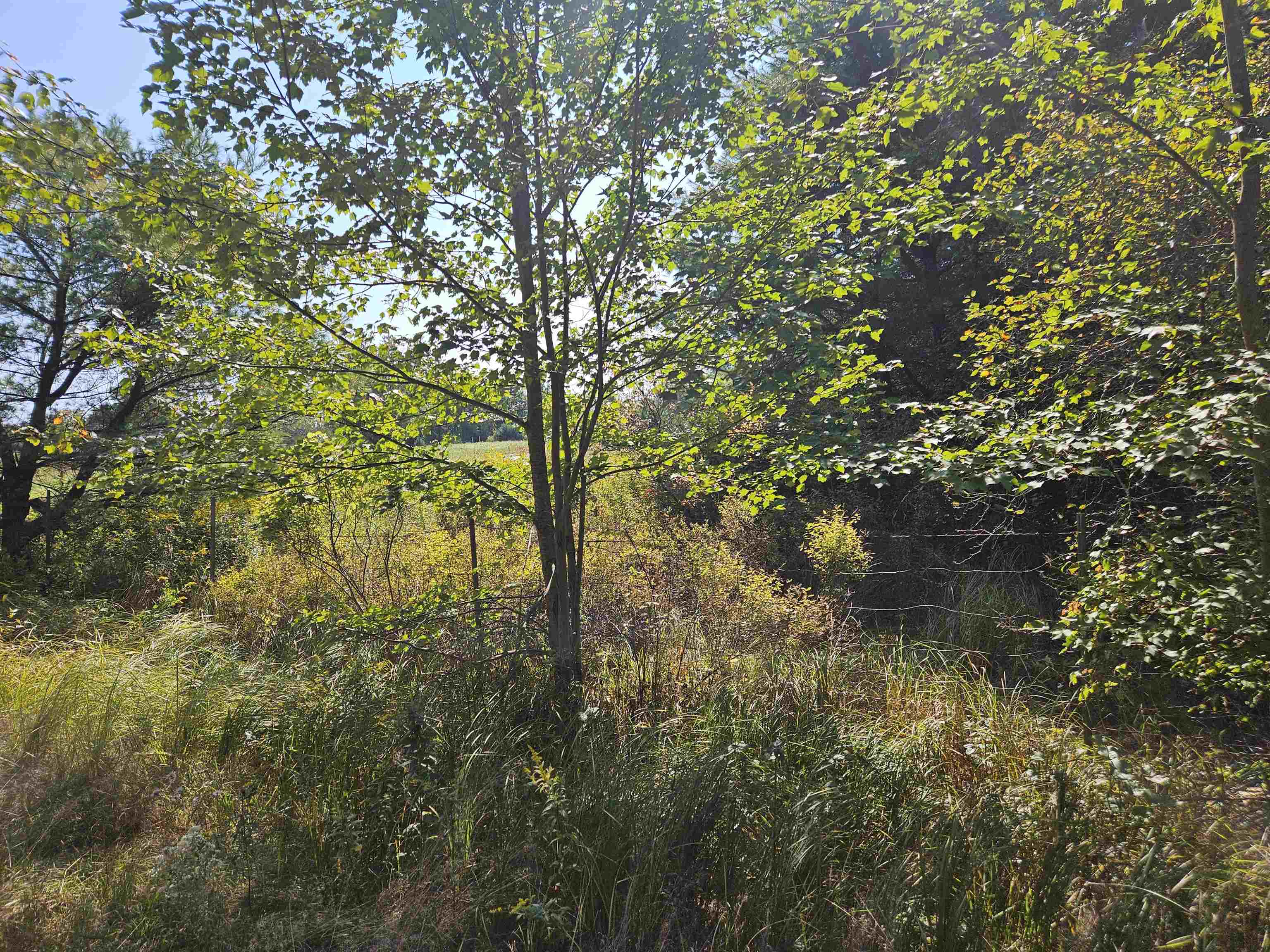 39 Nh Route 129 Property Photo 25