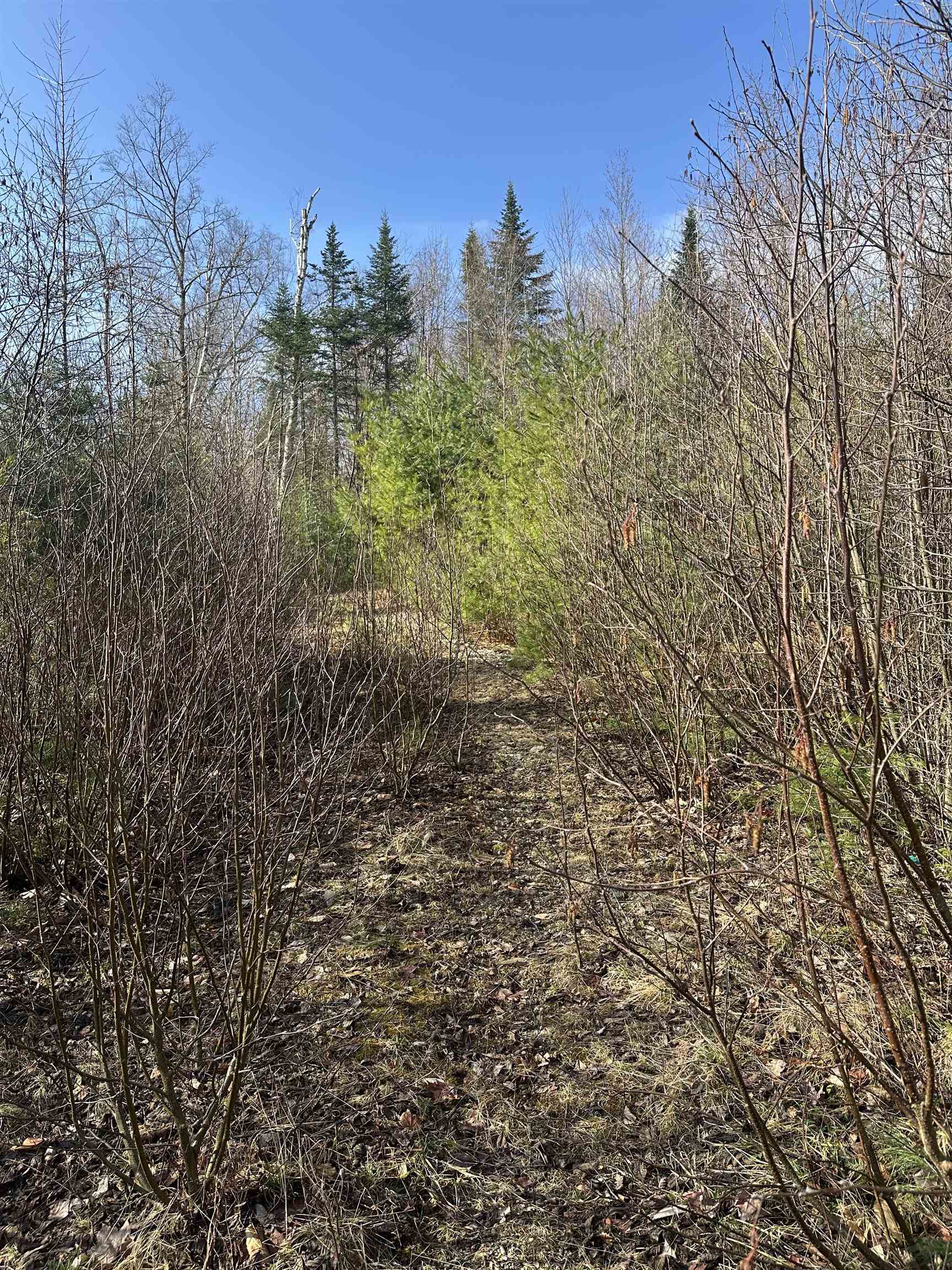 0 Agassiz Street Property Photo 10