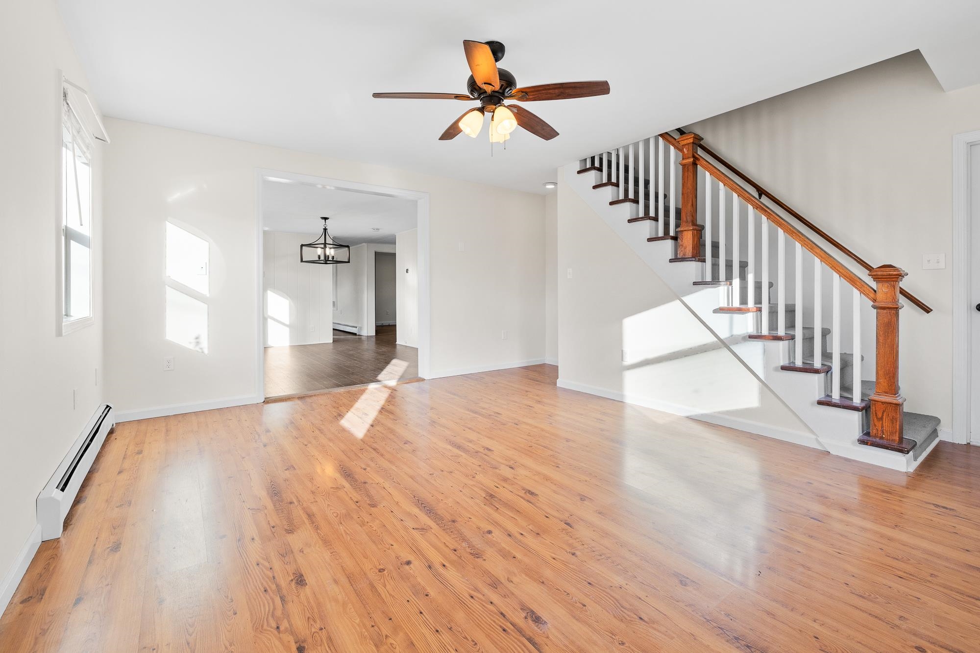 263 Elm Street Property Photo 17