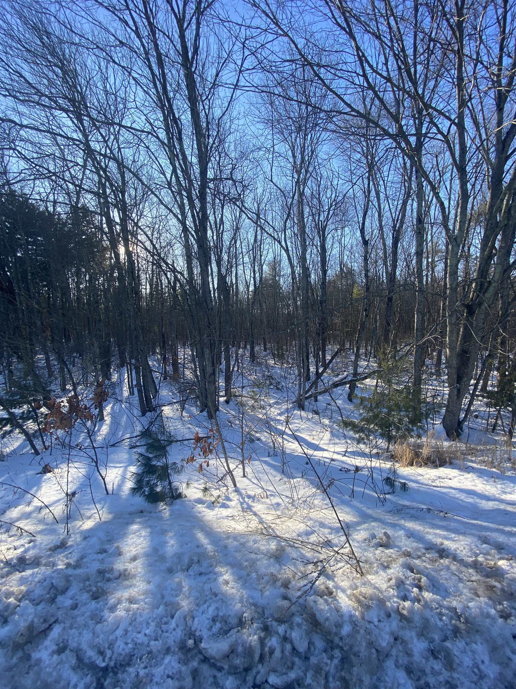 91 Fremont Road Property Photo 3