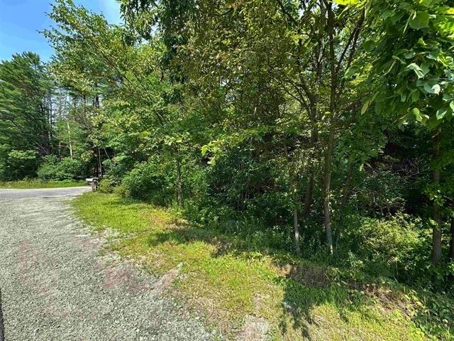 0 Brown Road Property Photo 4