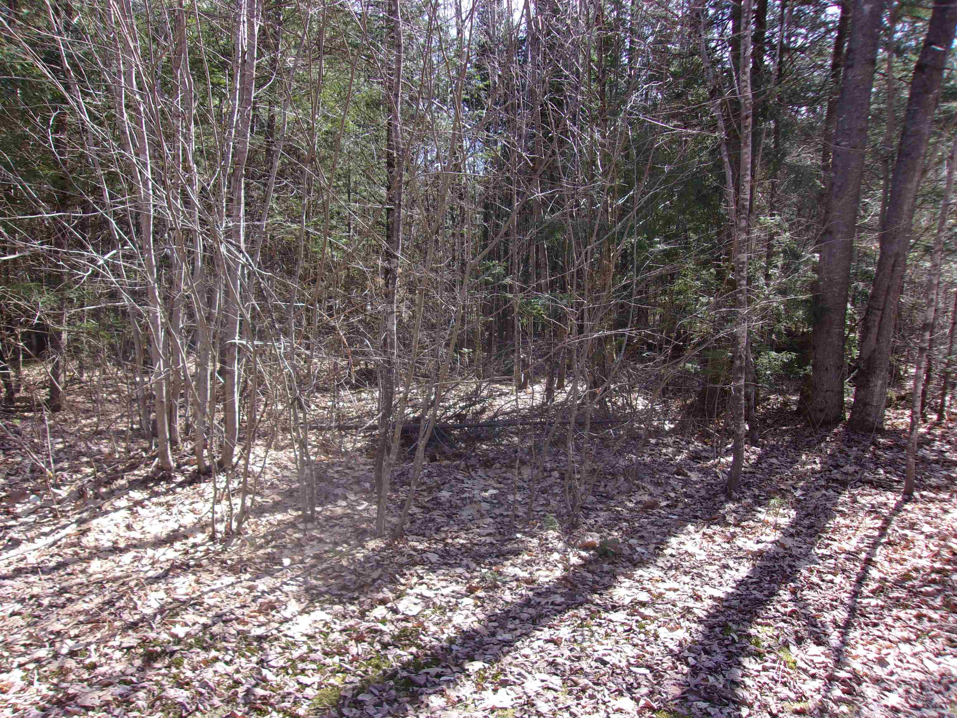 Fenn Way Circle Property Photo 4