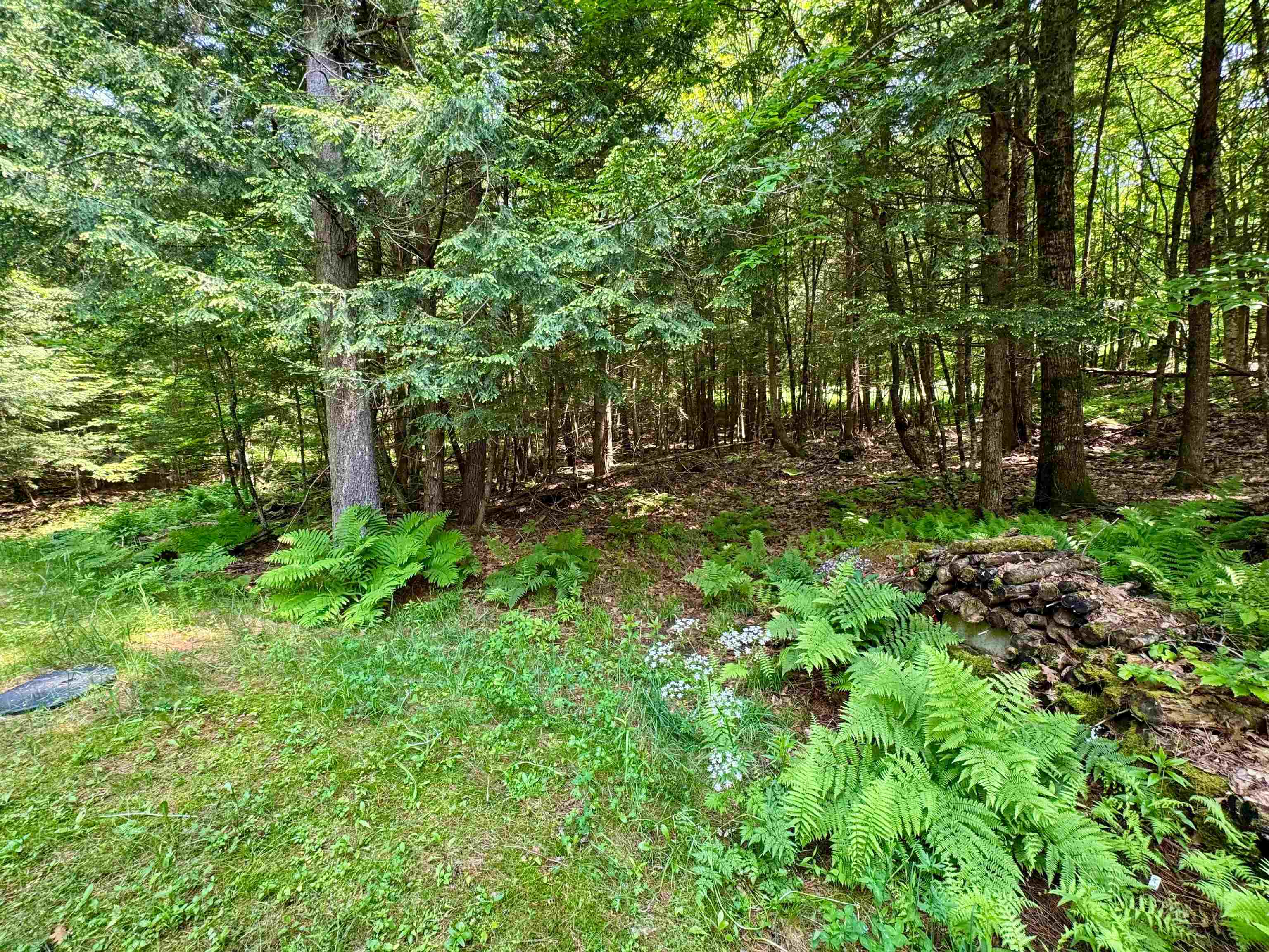 384 Stapelfeld Drive Property Photo 24
