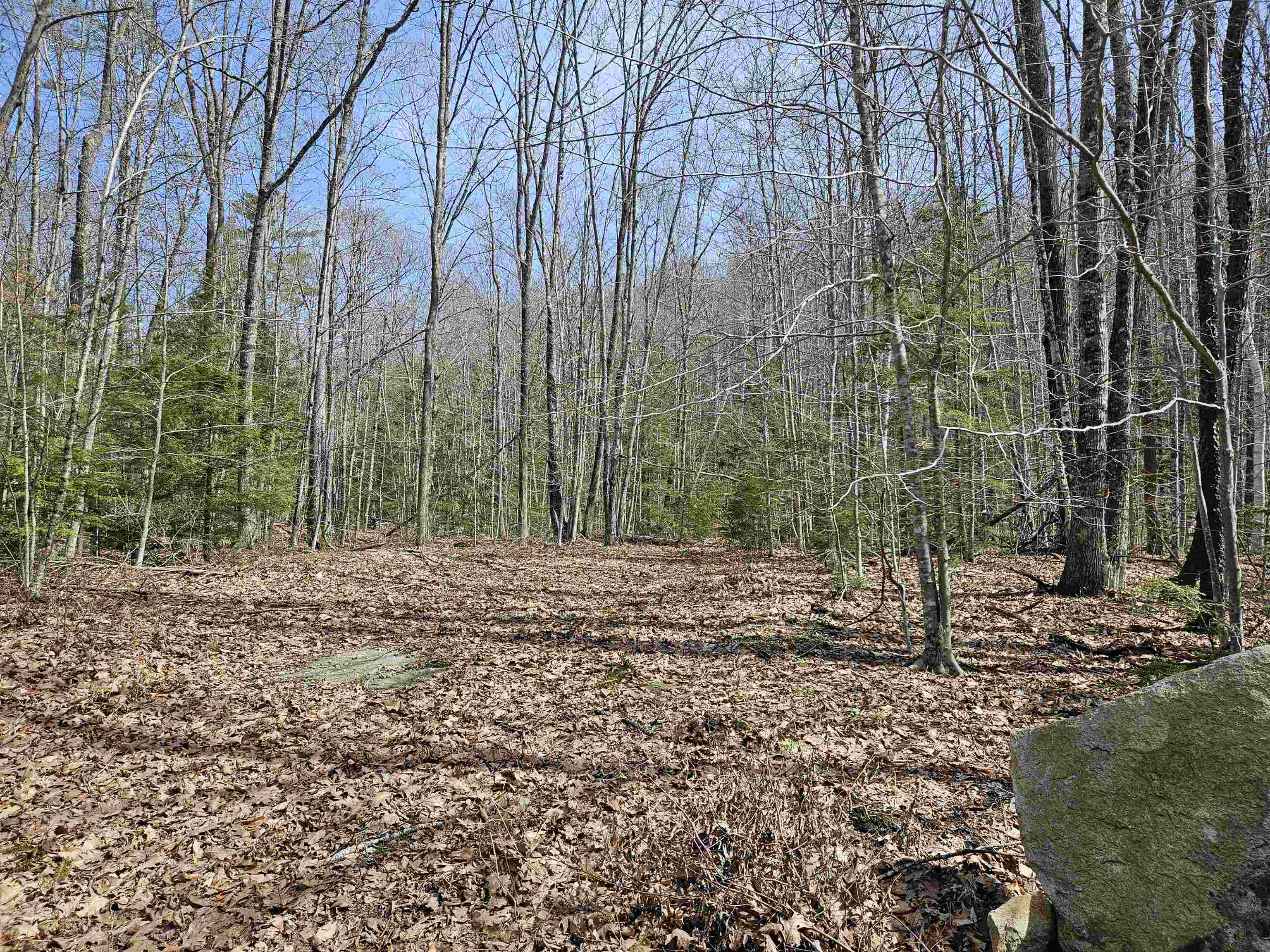 00 Hinkson Brook Road Property Photo