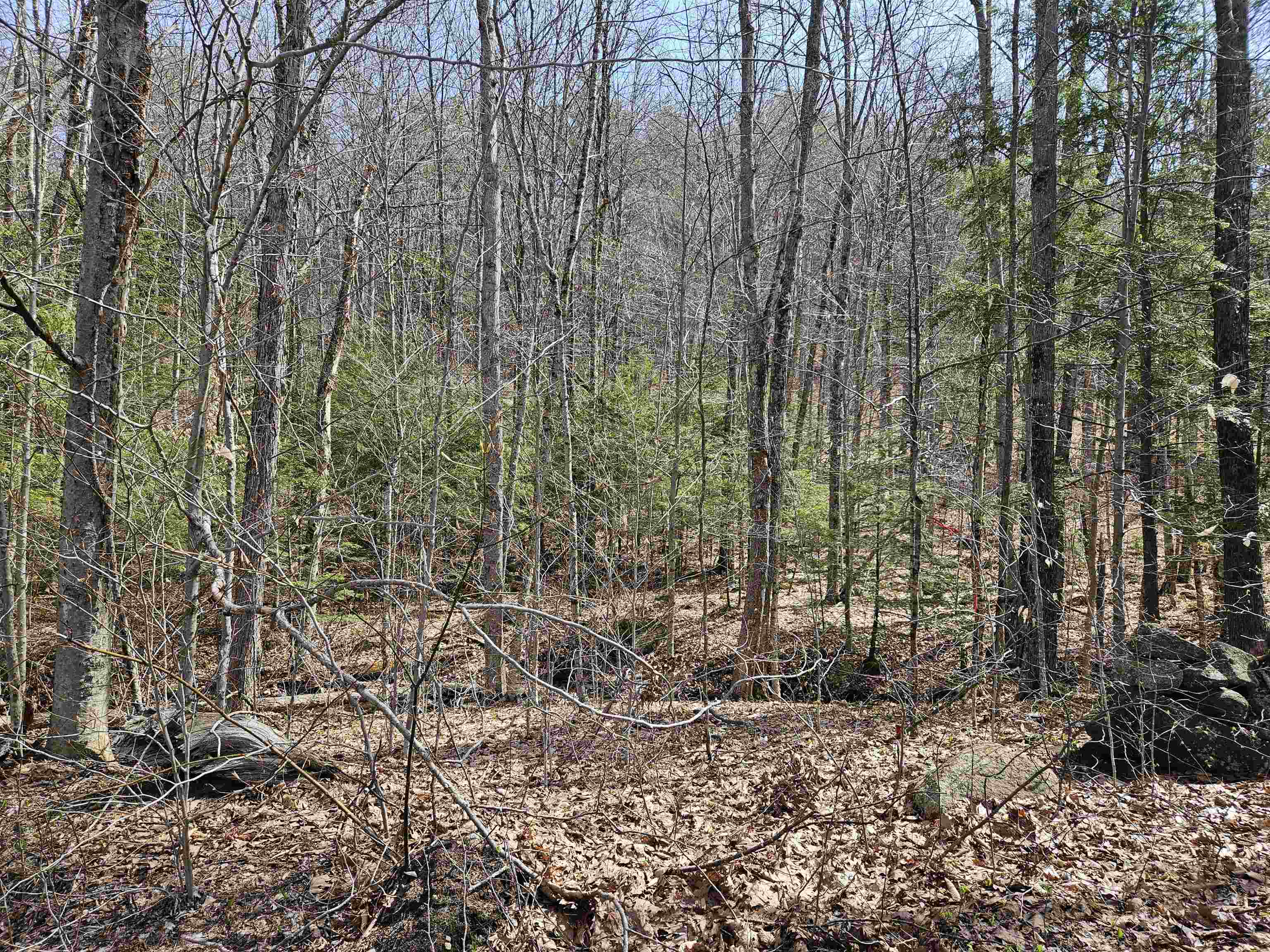 00 Hinkson Brook Road Property Photo 2