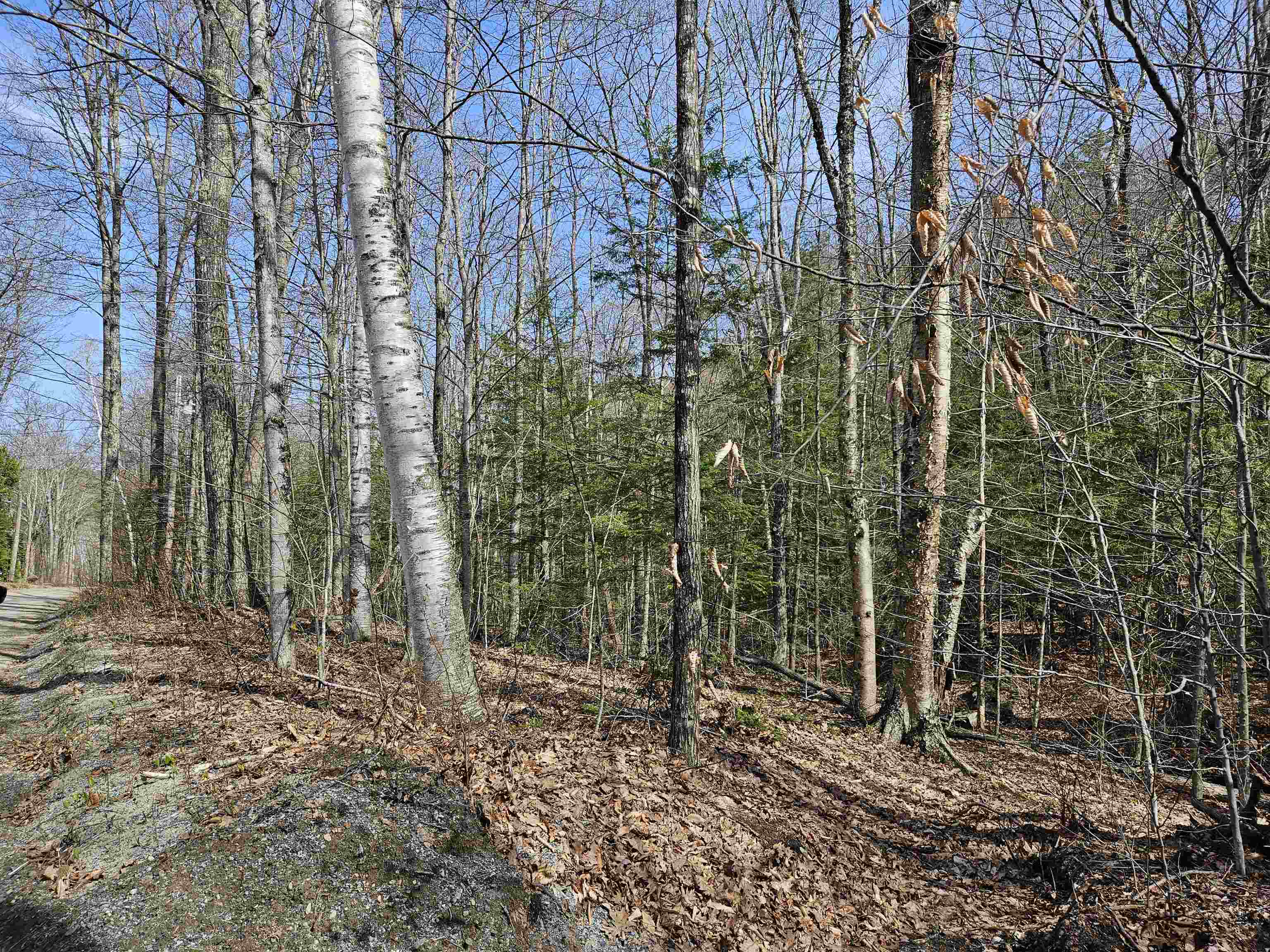 00 Hinkson Brook Road Property Photo 3