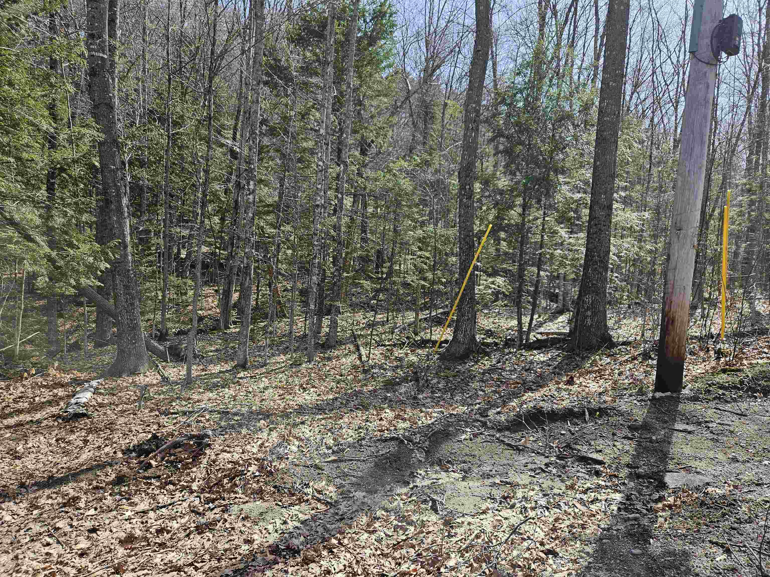 00 Hinkson Brook Road Property Photo 4