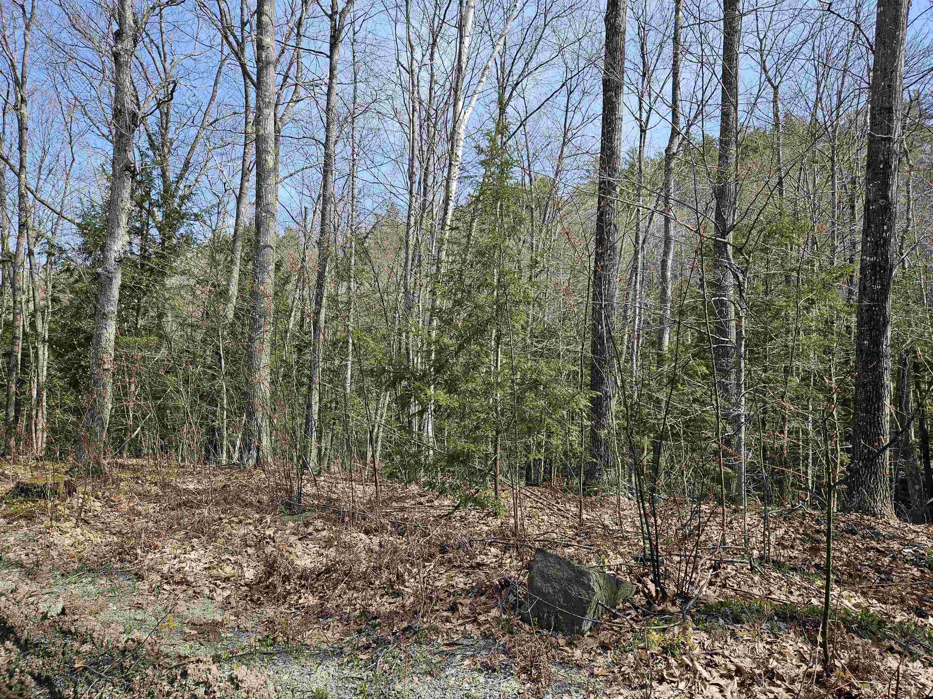 00 Hinkson Brook Road Property Photo 6