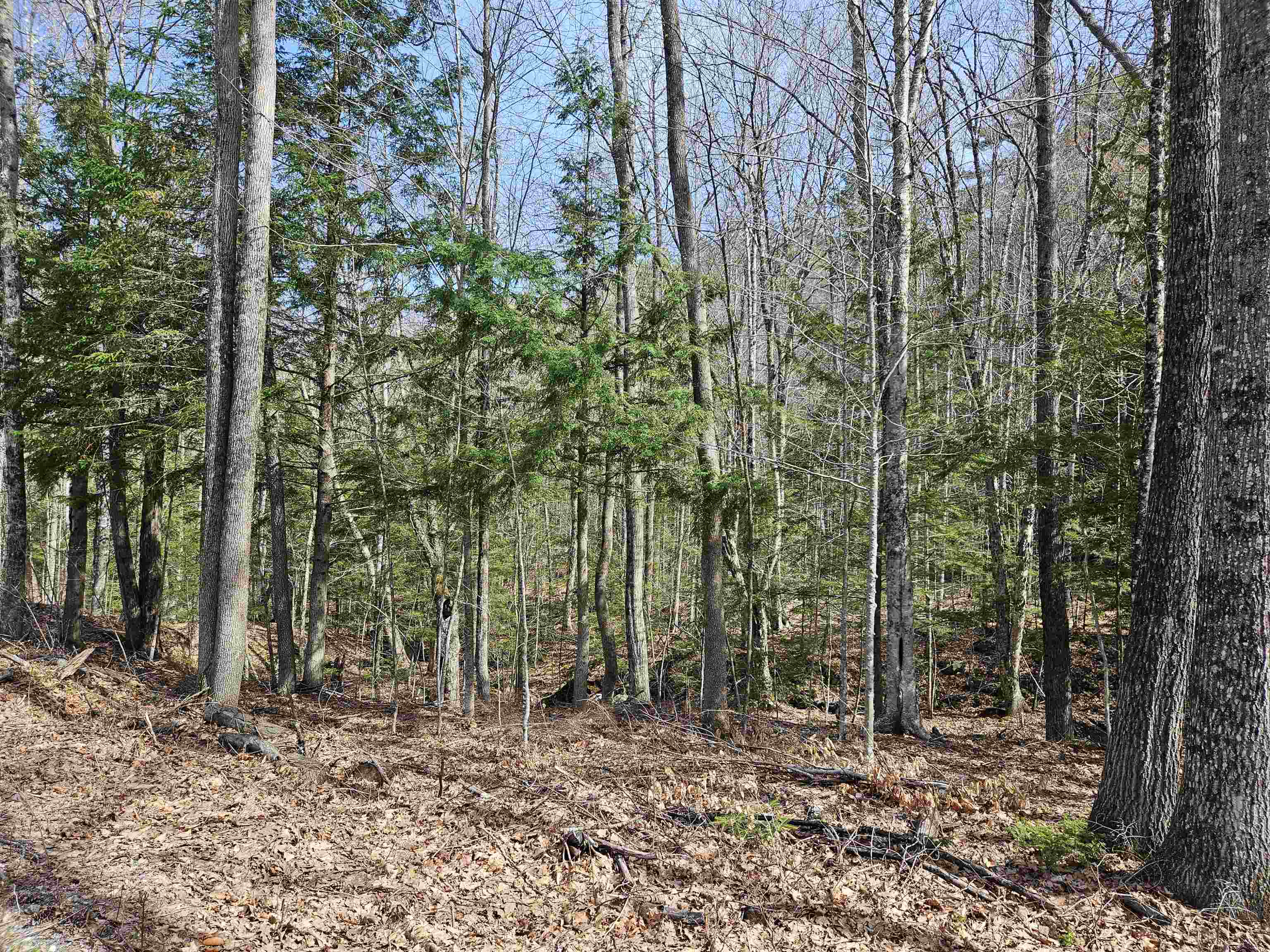 00 Hinkson Brook Road Property Photo 7