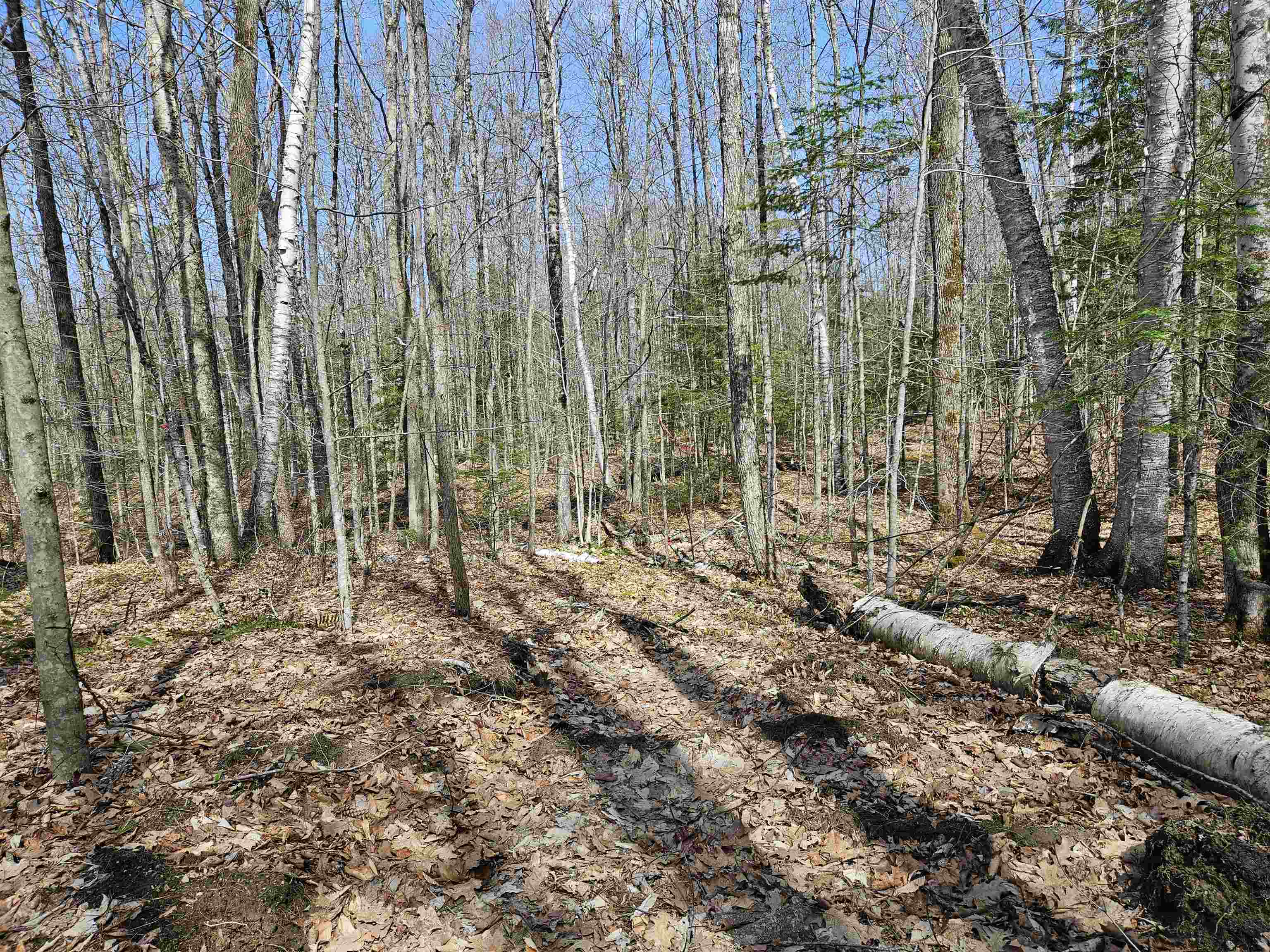 00 Hinkson Brook Road Property Photo 8