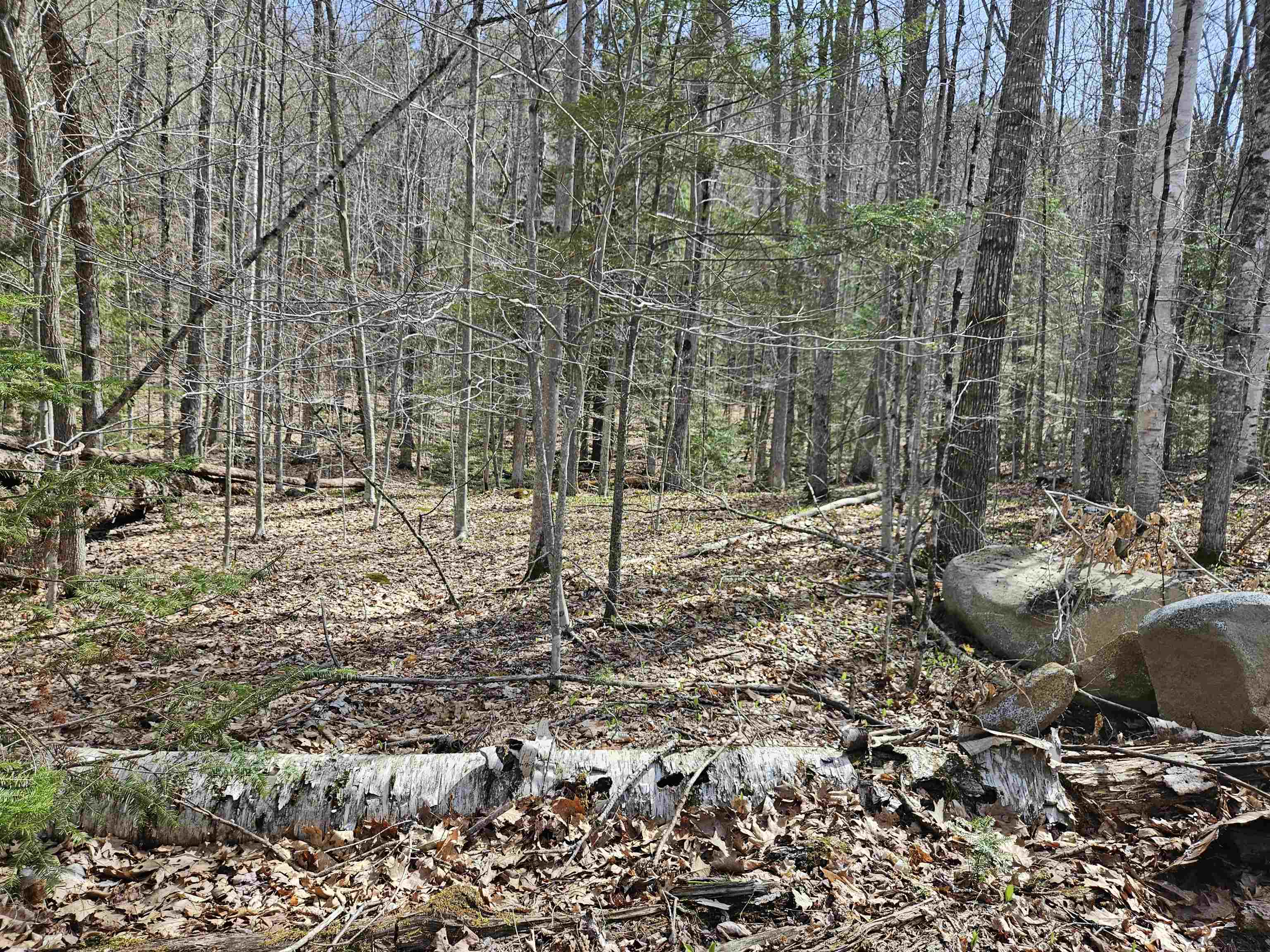 00 Hinkson Brook Road Property Photo 9