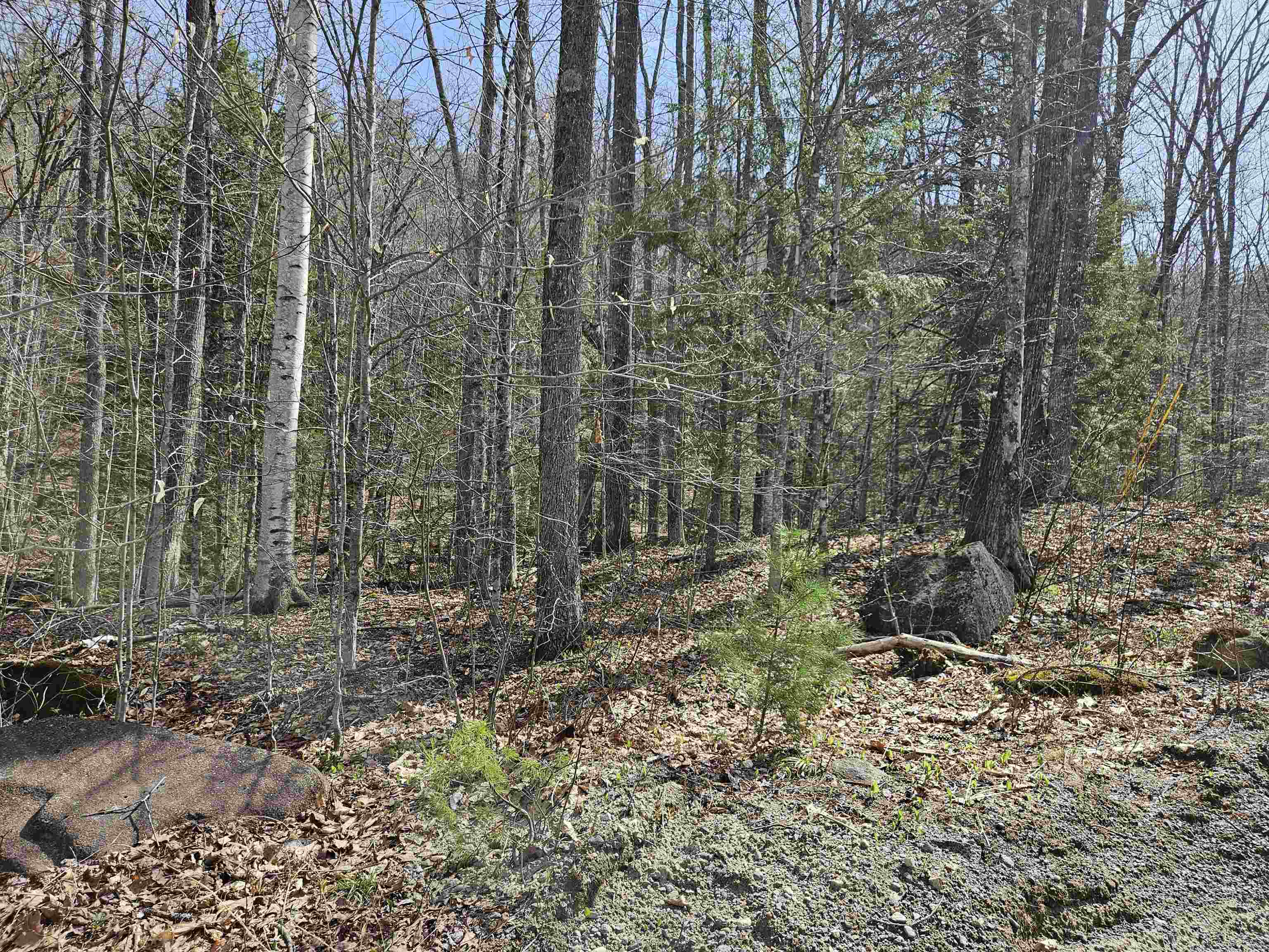 00 Hinkson Brook Road Property Photo 10