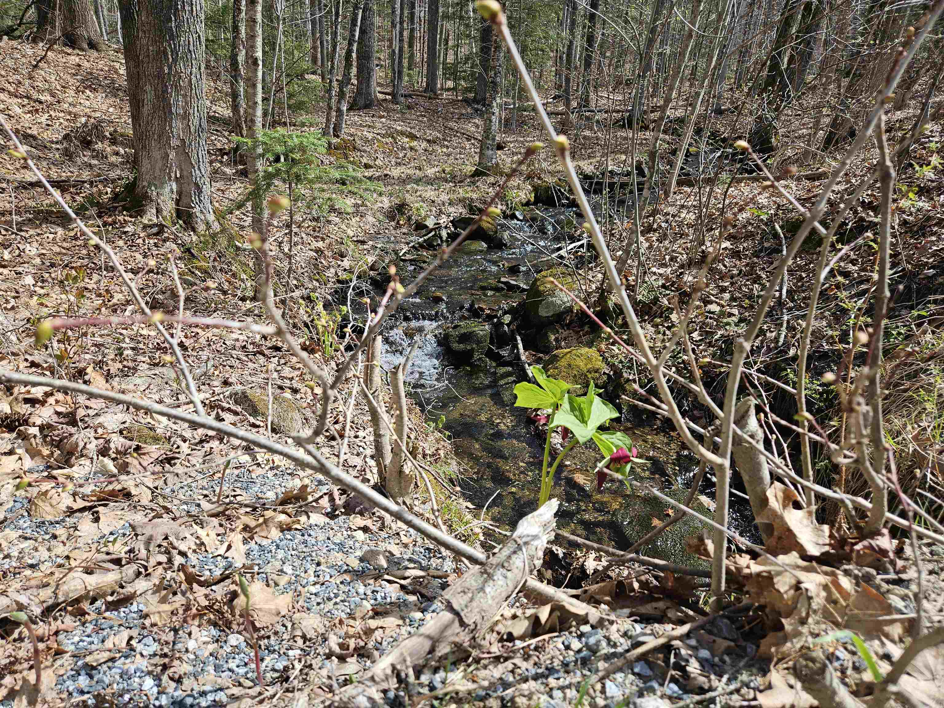 00 Hinkson Brook Road Property Photo 13