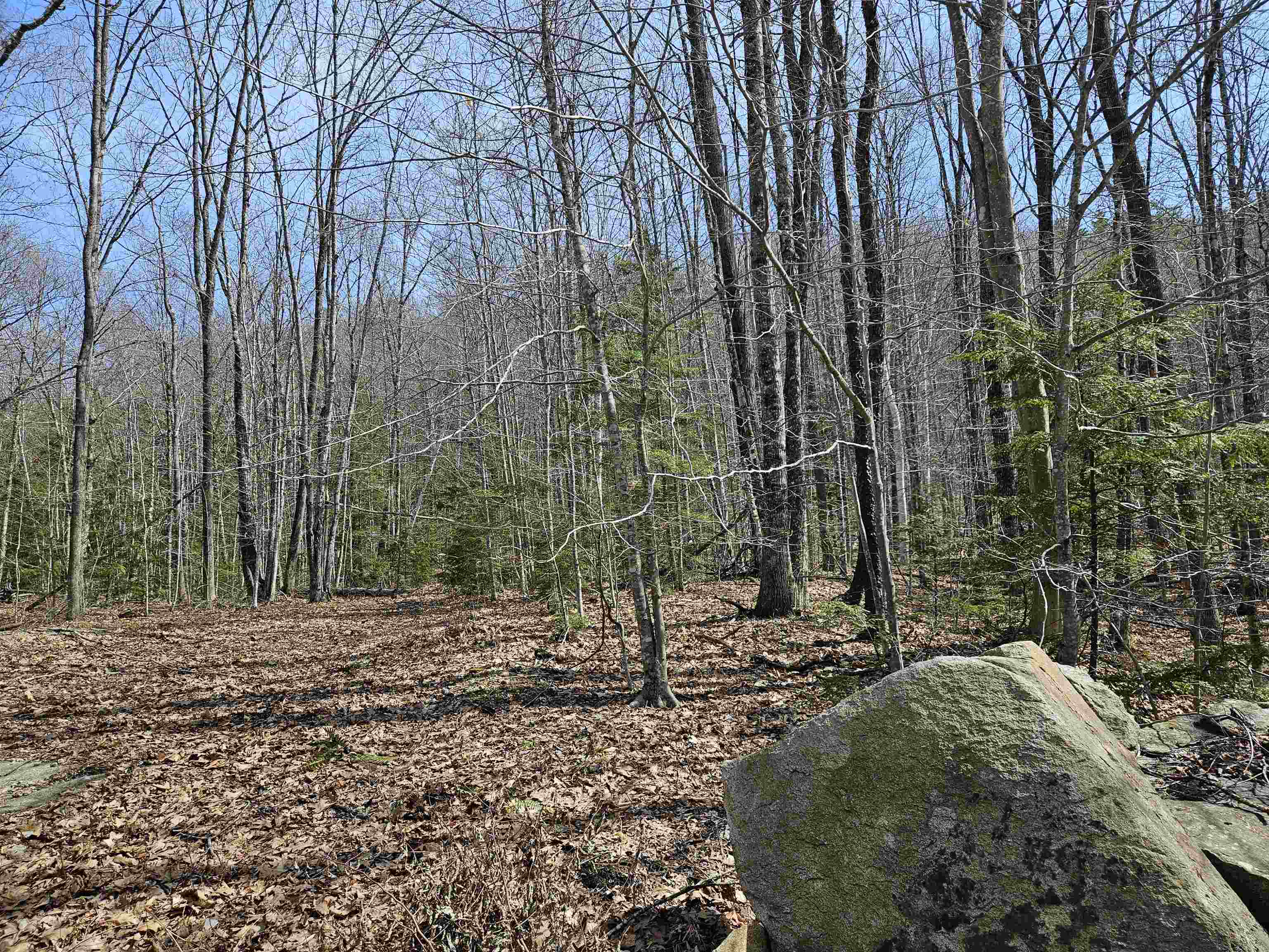 00 Hinkson Brook Road Property Photo 14