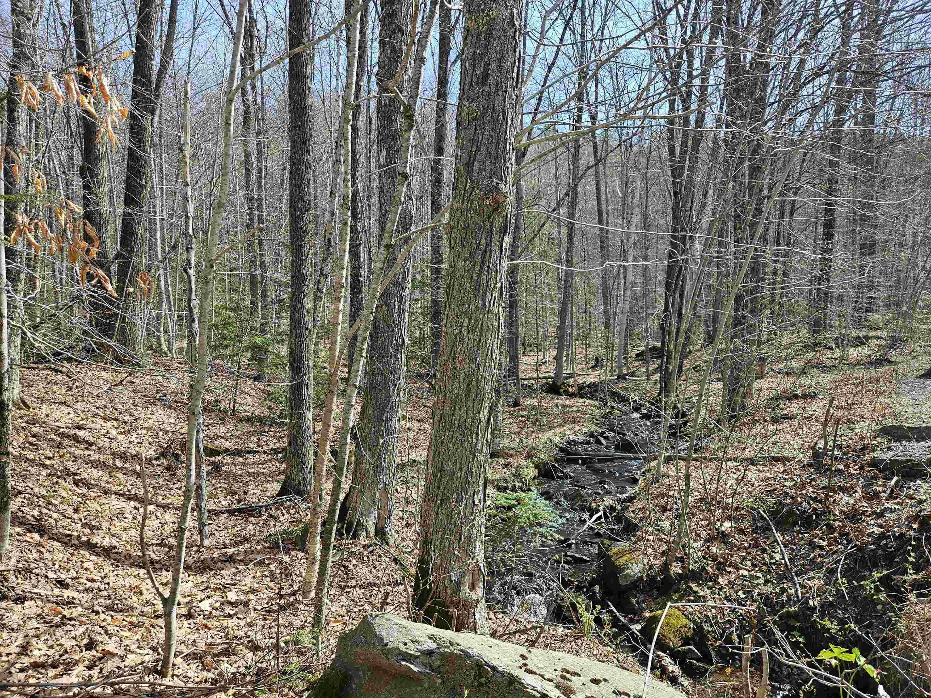 00 Hinkson Brook Road Property Photo 15