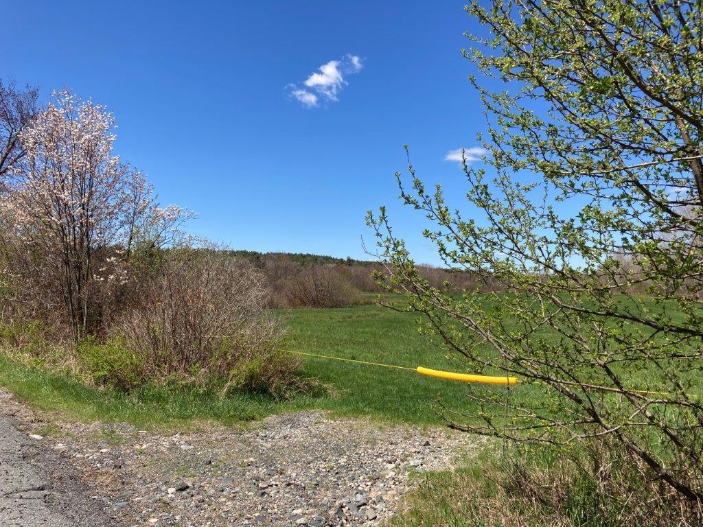 Potato Road Property Photo 4