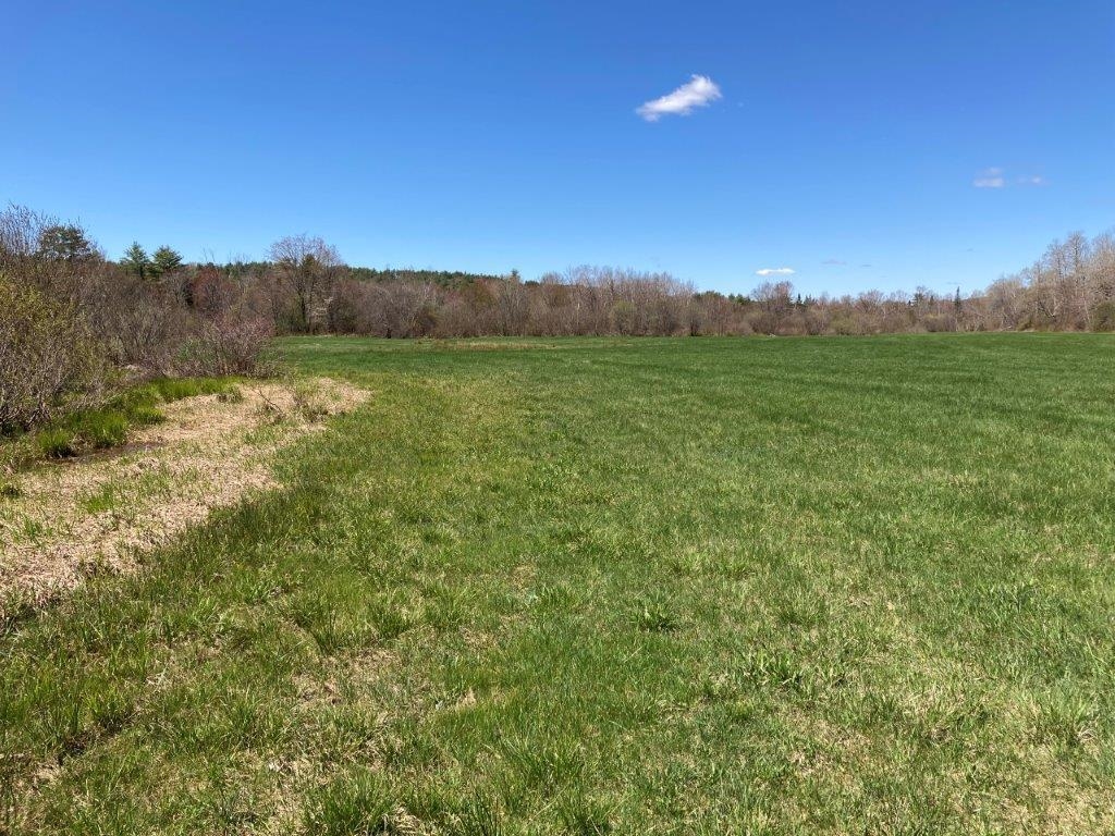 Potato Road Property Photo 10