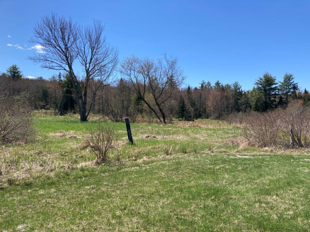 Potato Road Property Photo 12