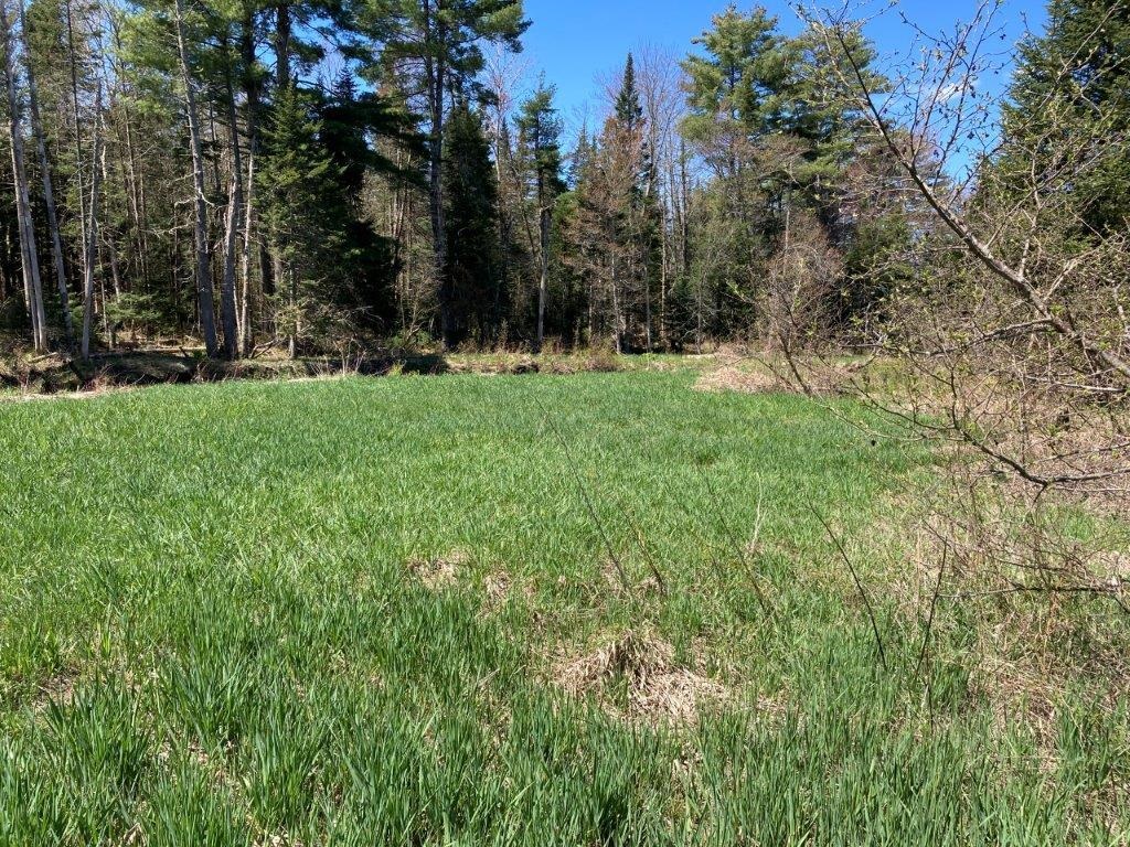 Potato Road Property Photo 21
