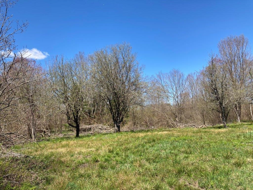 Potato Road Property Photo 23