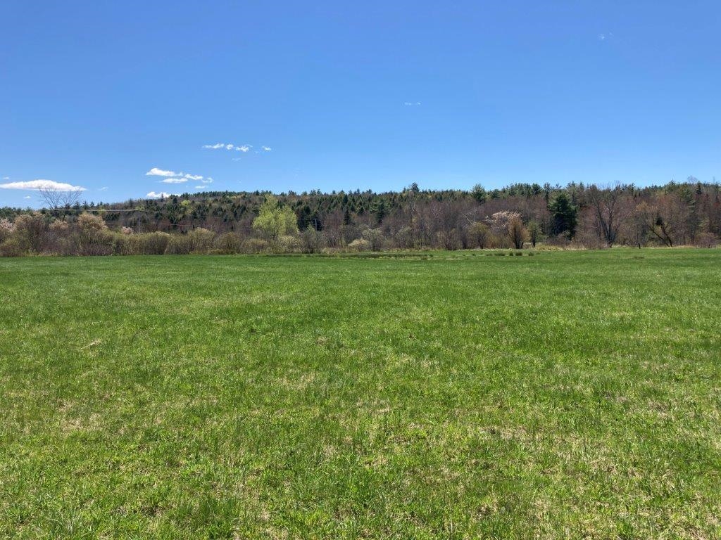 Potato Road Property Photo 24