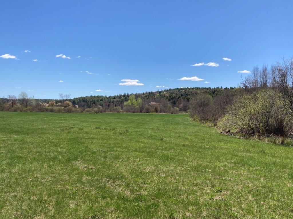 Potato Road Property Photo 26