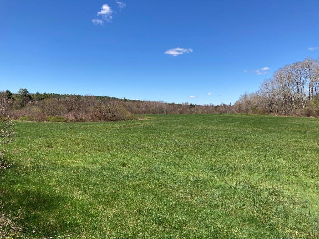 Potato Road Property Photo 29
