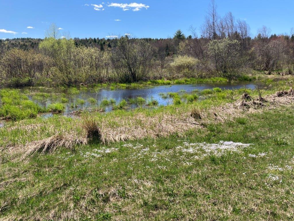 Potato Road Property Photo 33