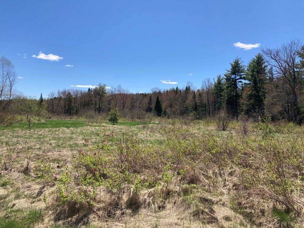 Potato Road Property Photo 35