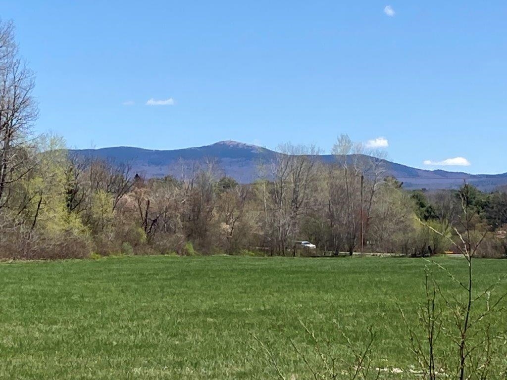 Potato Road Property Photo 36