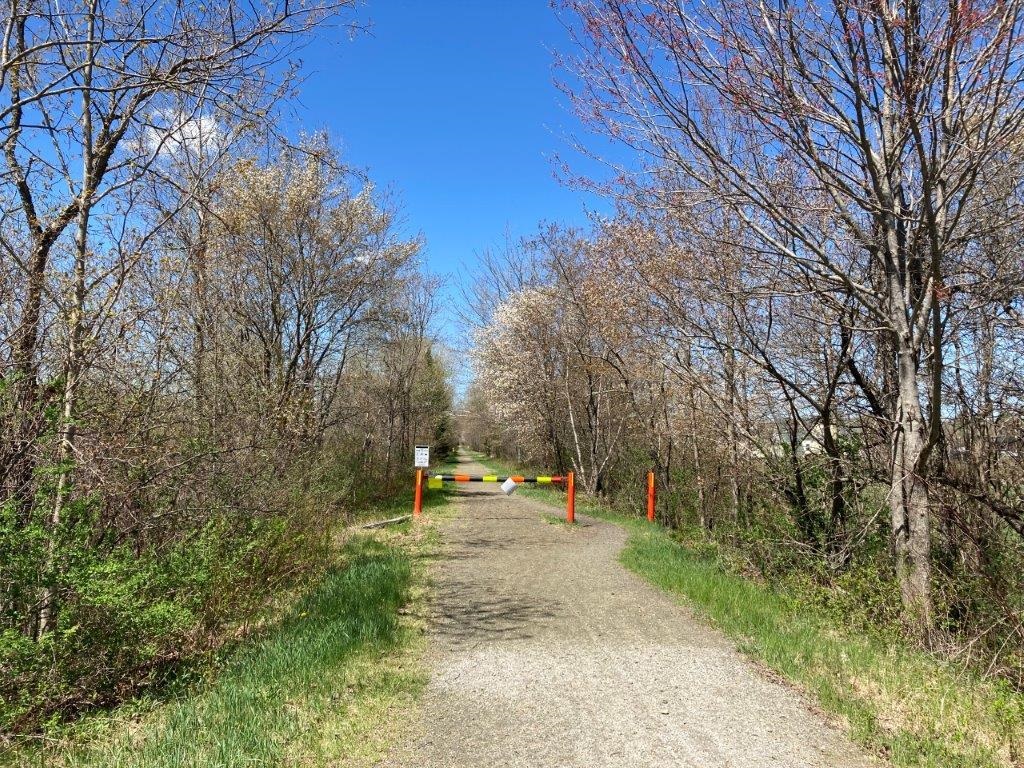 Potato Road Property Photo 39