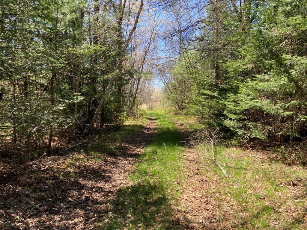0 Us Route 4 Property Photo 6