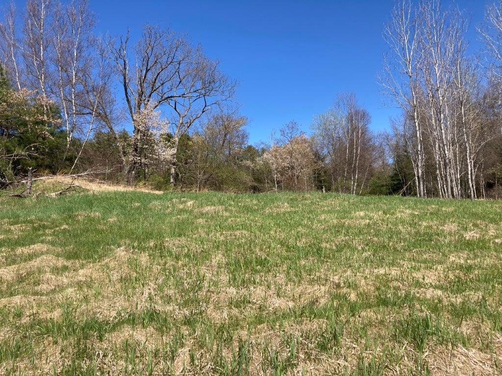 0 Us Route 4 Property Photo 7