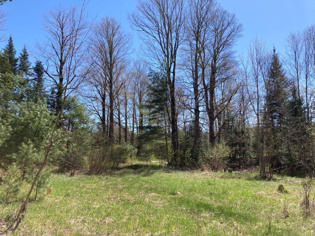0 Us Route 4 Property Photo 14