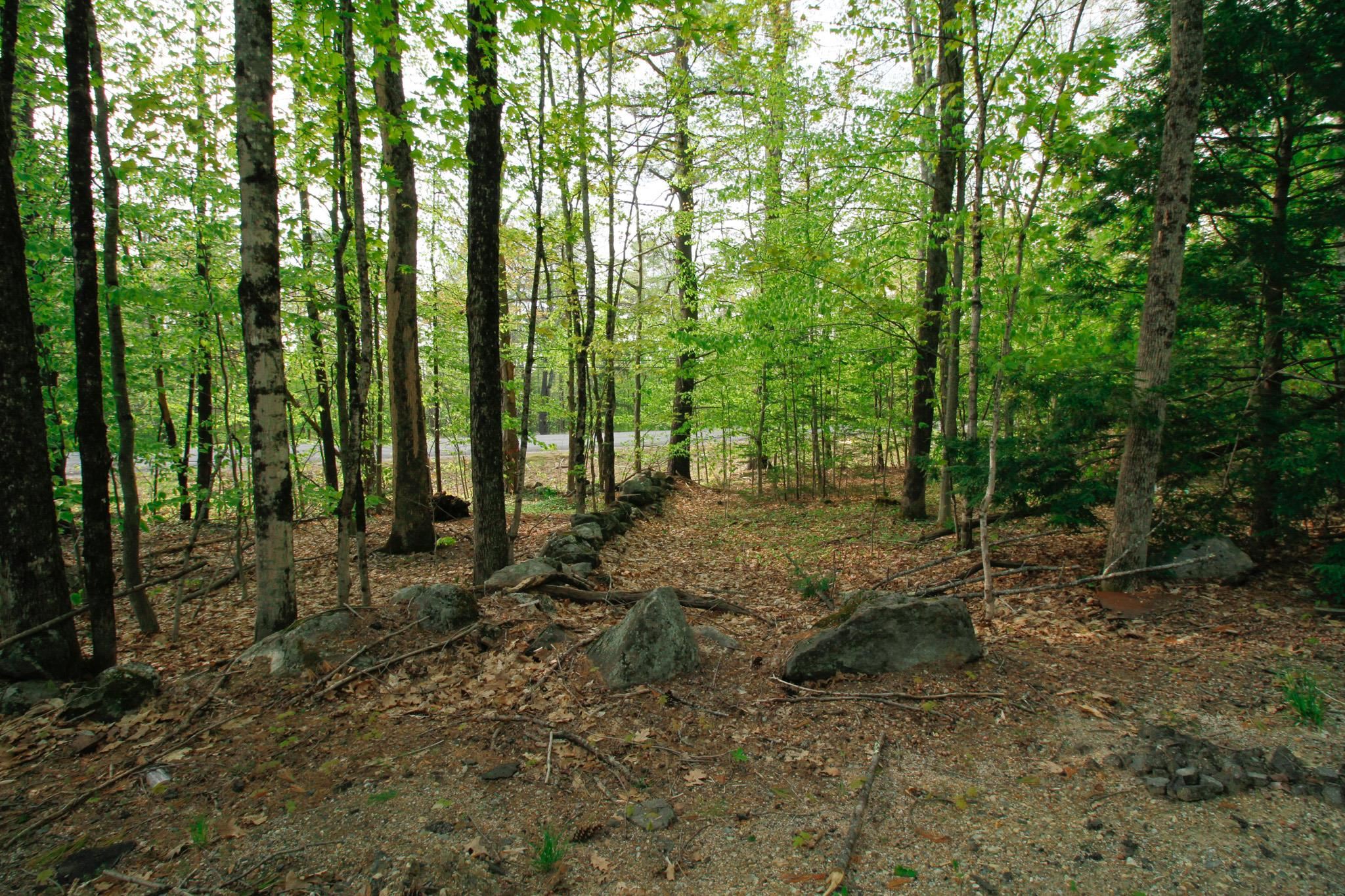 224 Lot 20 Elijah Beede Road Property Photo 1