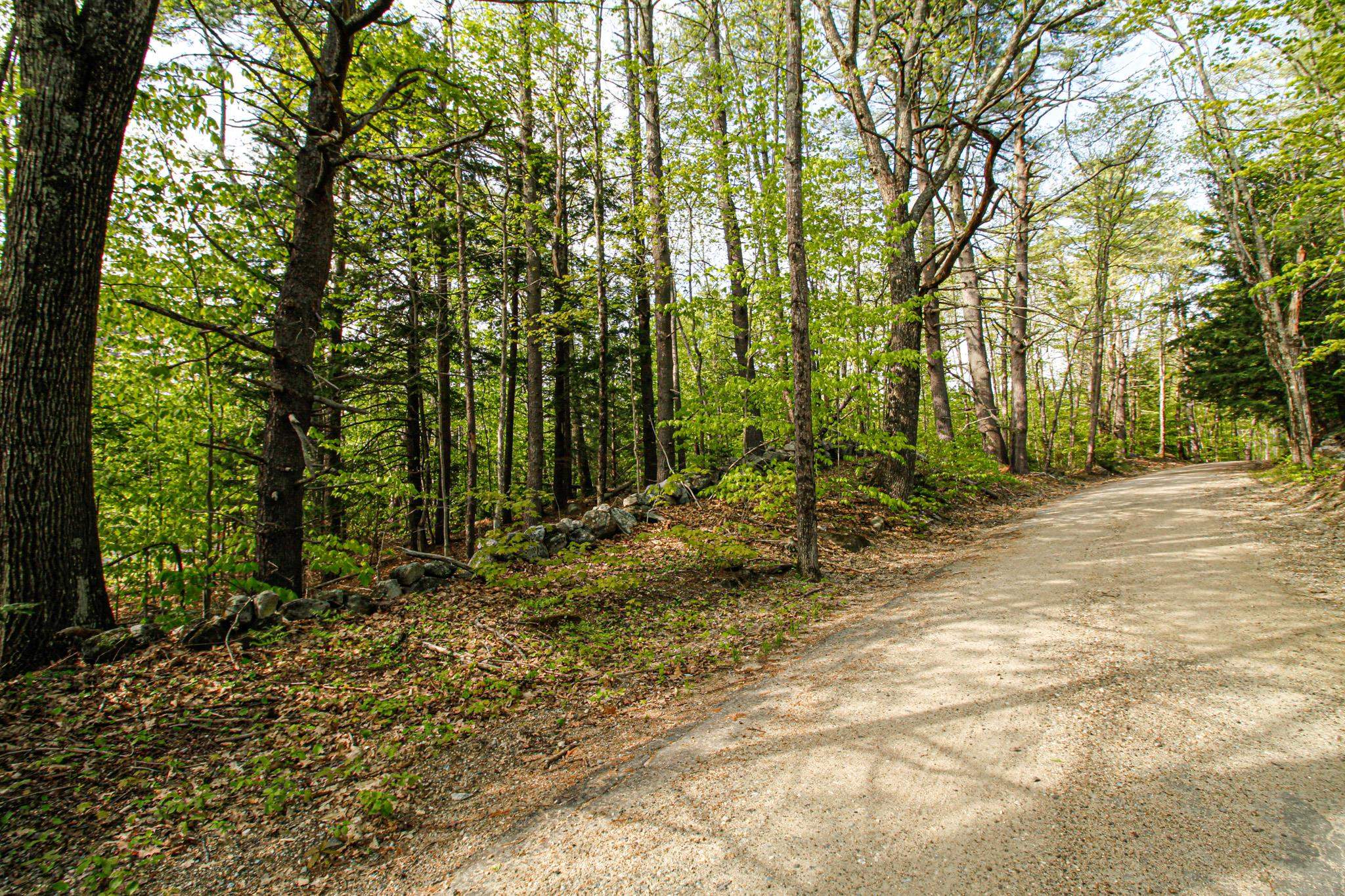 224 Lot 20 Elijah Beede Road Property Photo 2